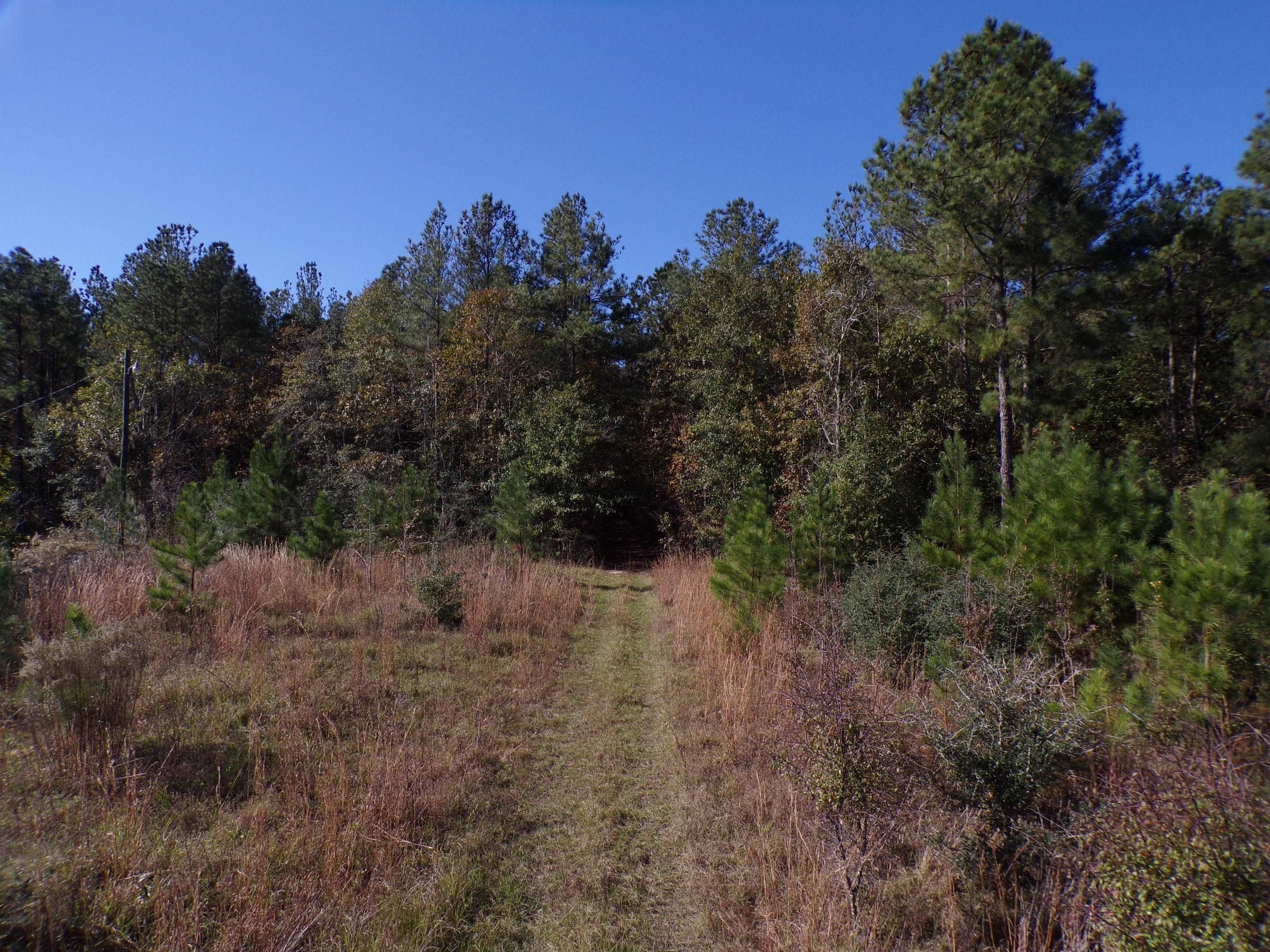 Baxley, Appling County, GA Recreational Property, Undeveloped Land for