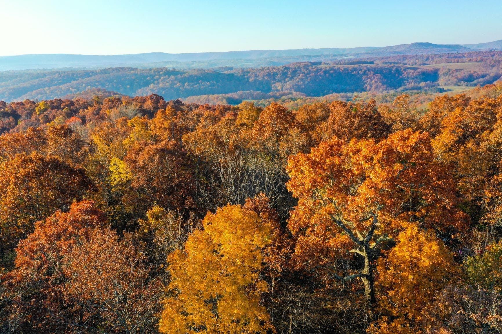 Mountain View, Stone County, AR Recreational Property, Timberland