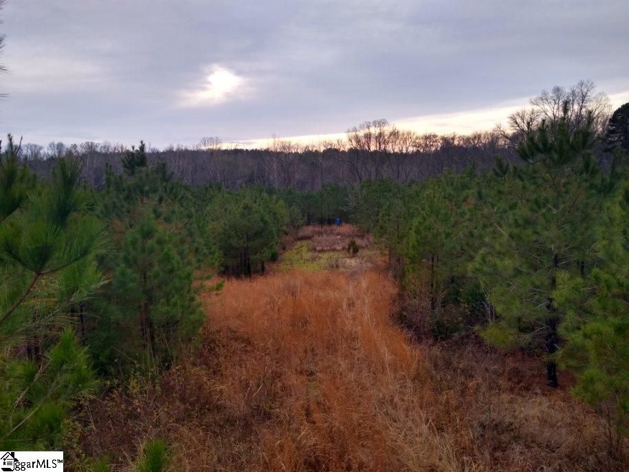 Buffalo, Union County, SC Undeveloped Land for sale Property ID