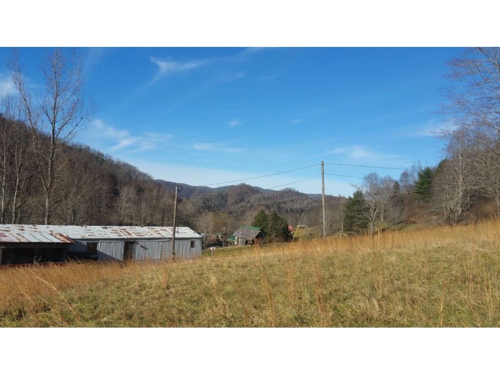 Roan Mountain, Carter County, TN House for sale Property ID 409175758
