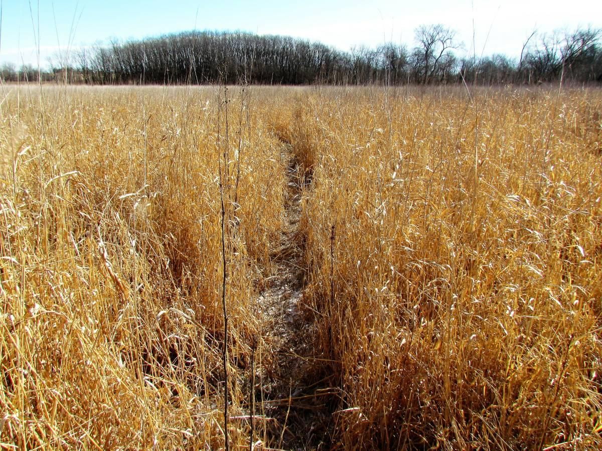 Decatur City, Decatur County, IA Farms and Ranches, Recreational