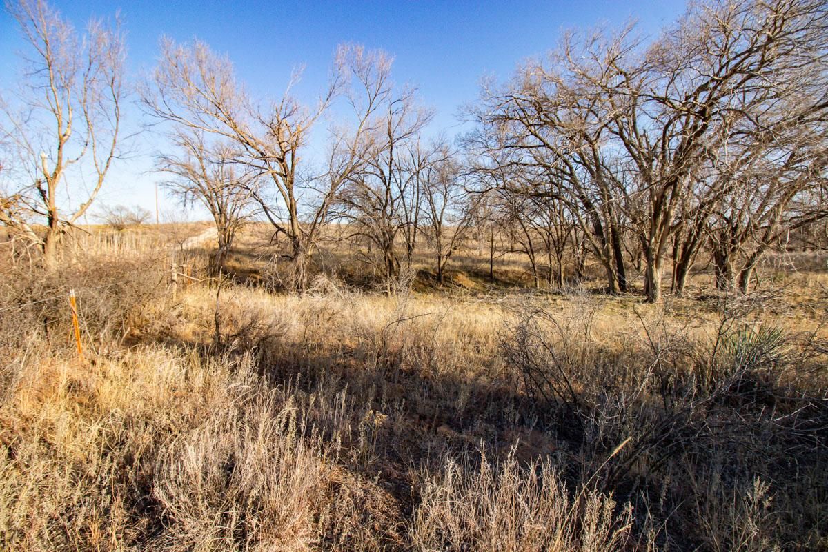 Wheeler, Wheeler County, TX Farms and Ranches, Recreational Property
