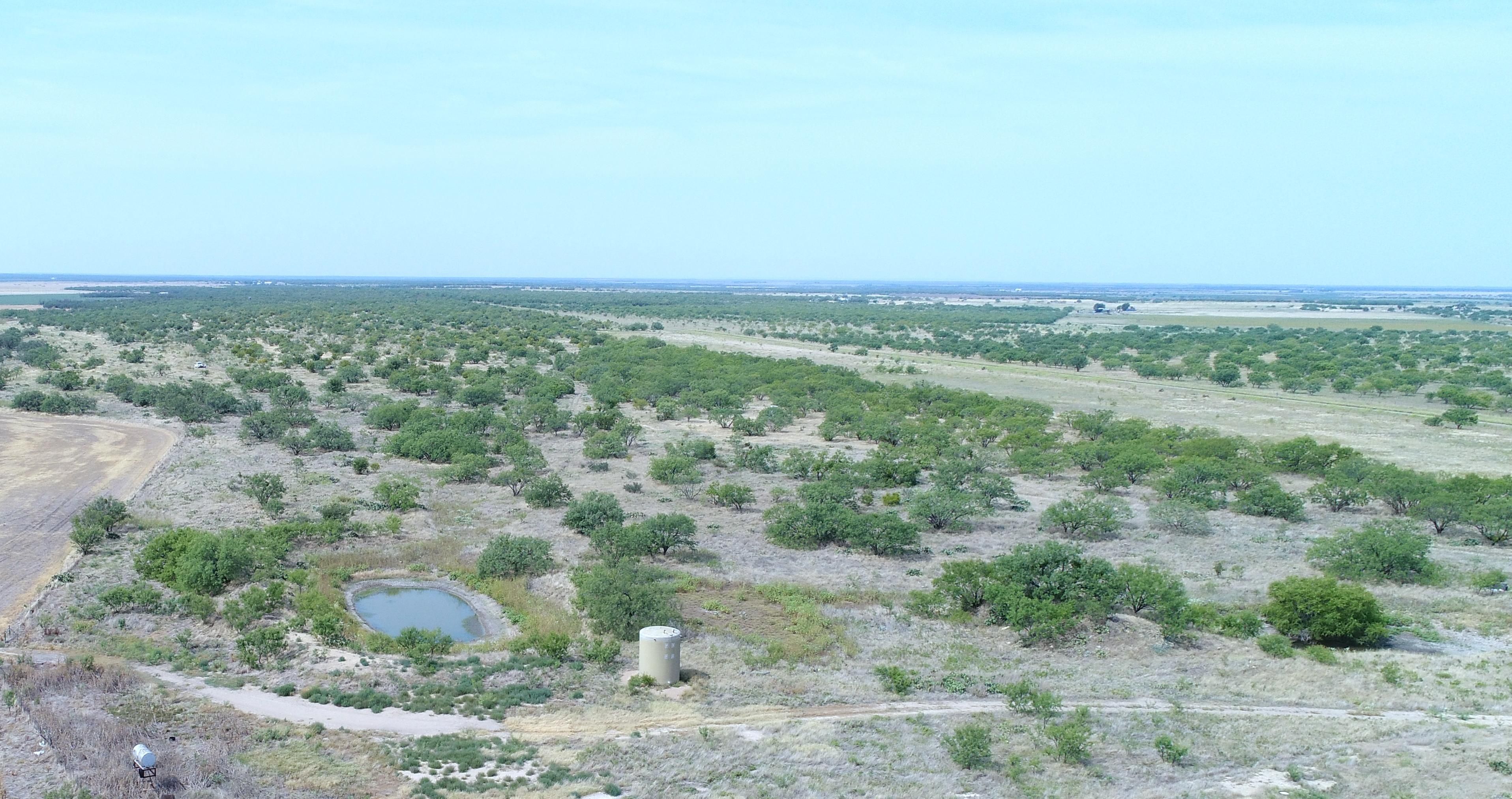 Winters, Runnels County, TX Recreational Property, Hunting Property for