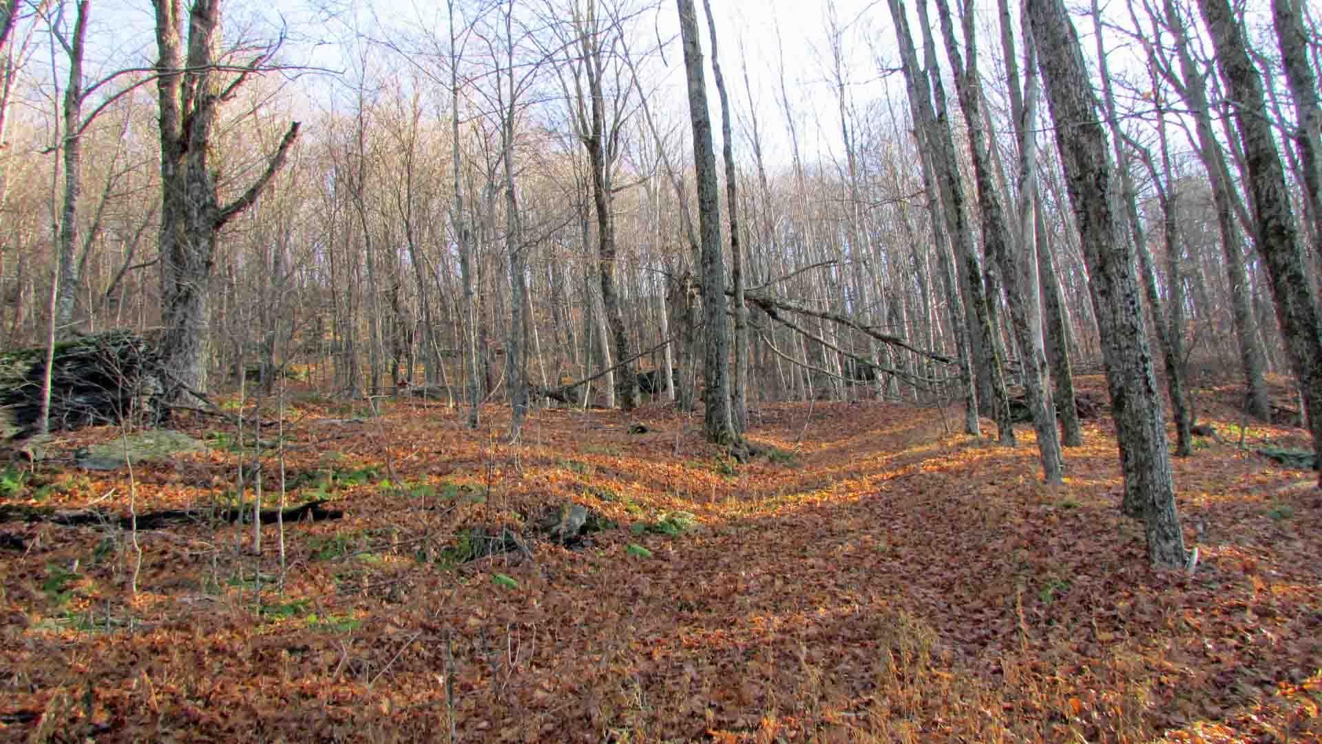 Halcott Center, Greene County, NY Recreational Property, Undeveloped