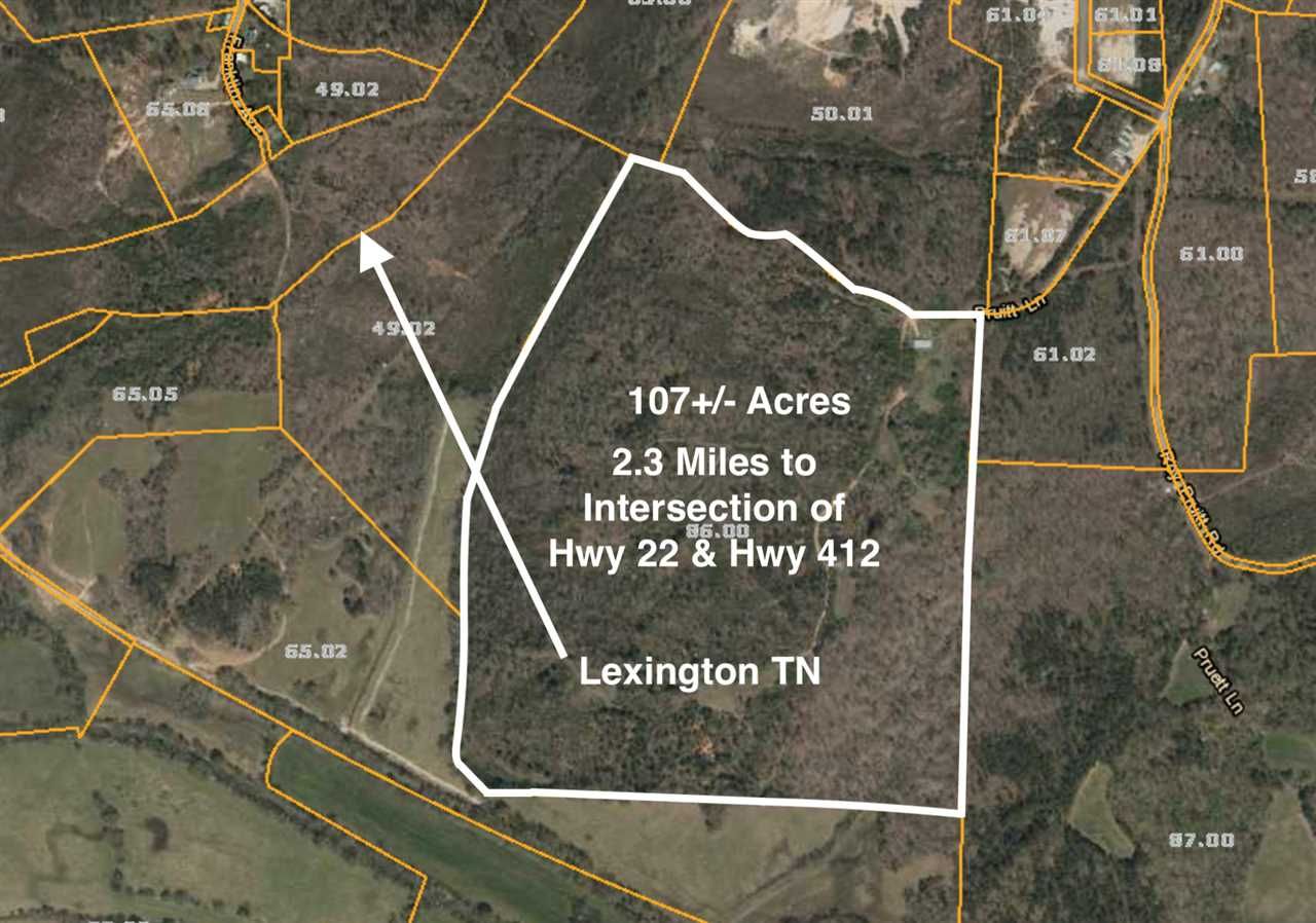 Lexington, Henderson County, TN Undeveloped Land for sale Property ID