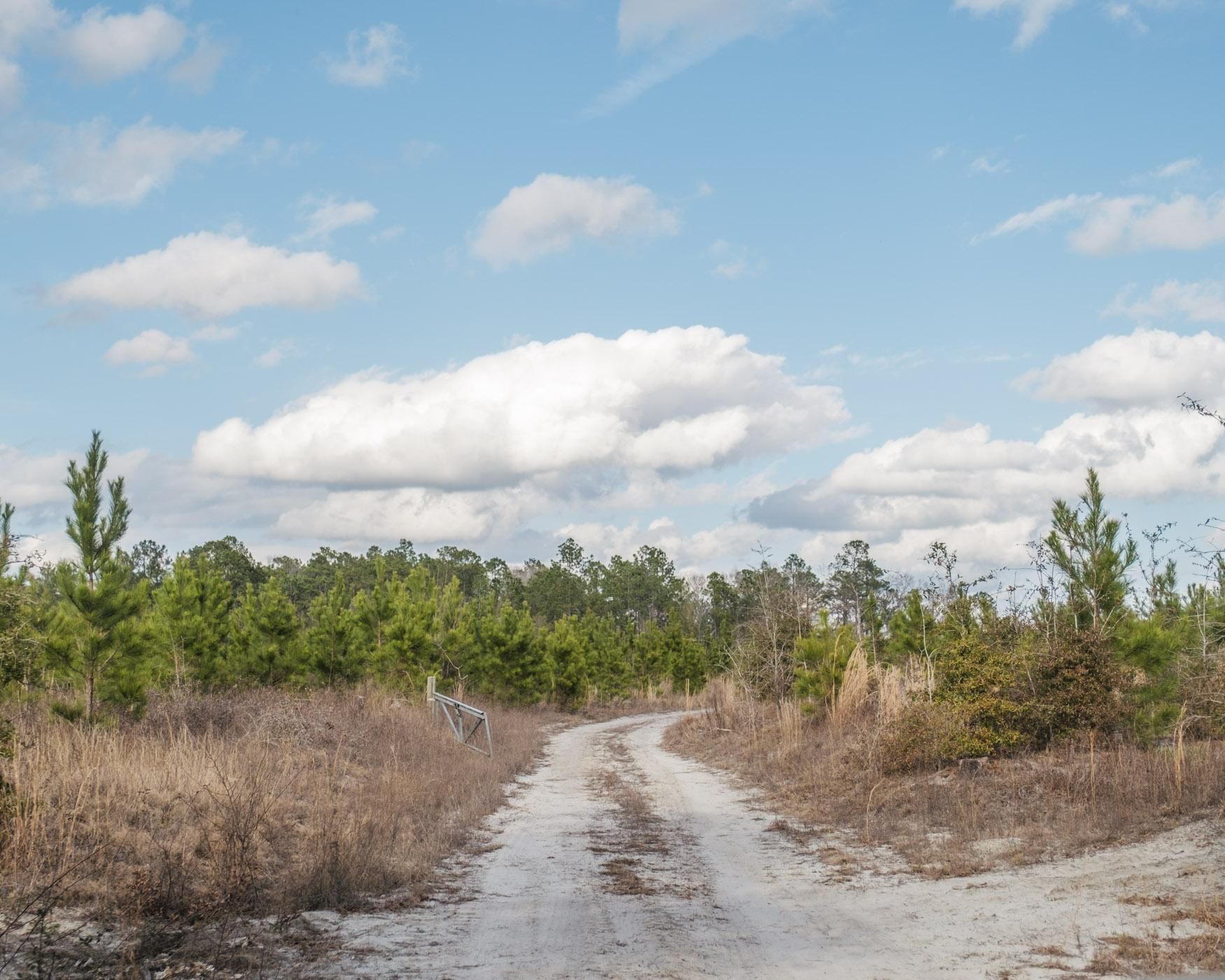 Sylvania, Screven County, GA Recreational Property, Undeveloped Land