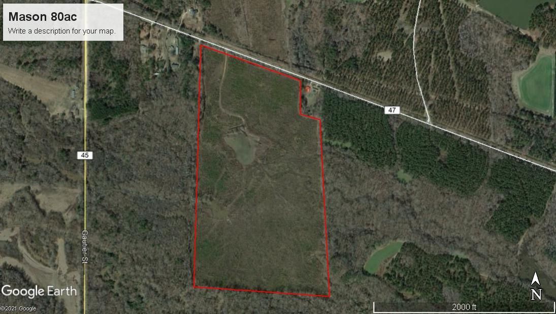 Tuskegee, Macon County, AL Timberland Property, Hunting Property for