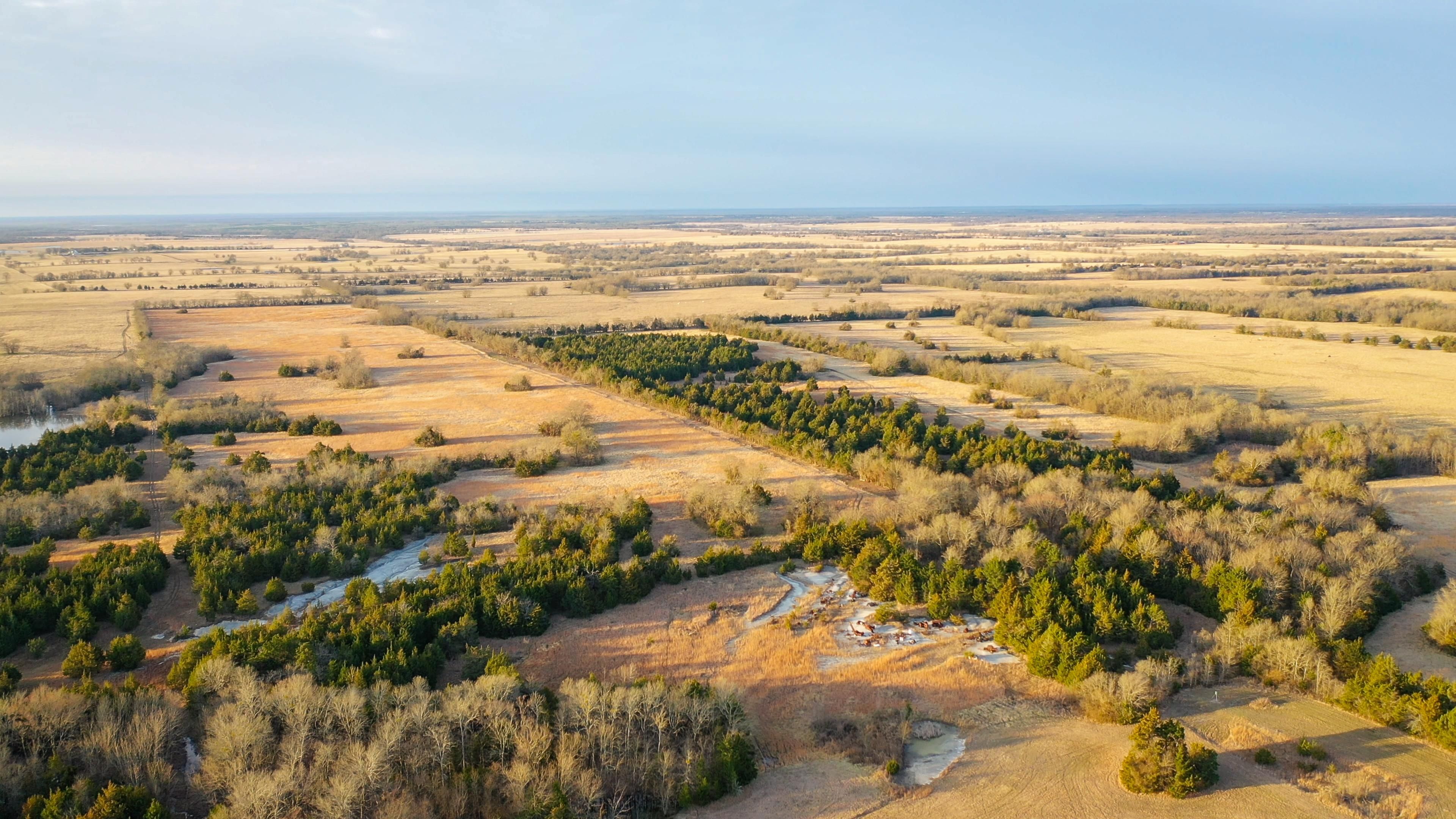 Clarksville, Red River County, TX Farms and Ranches, Recreational