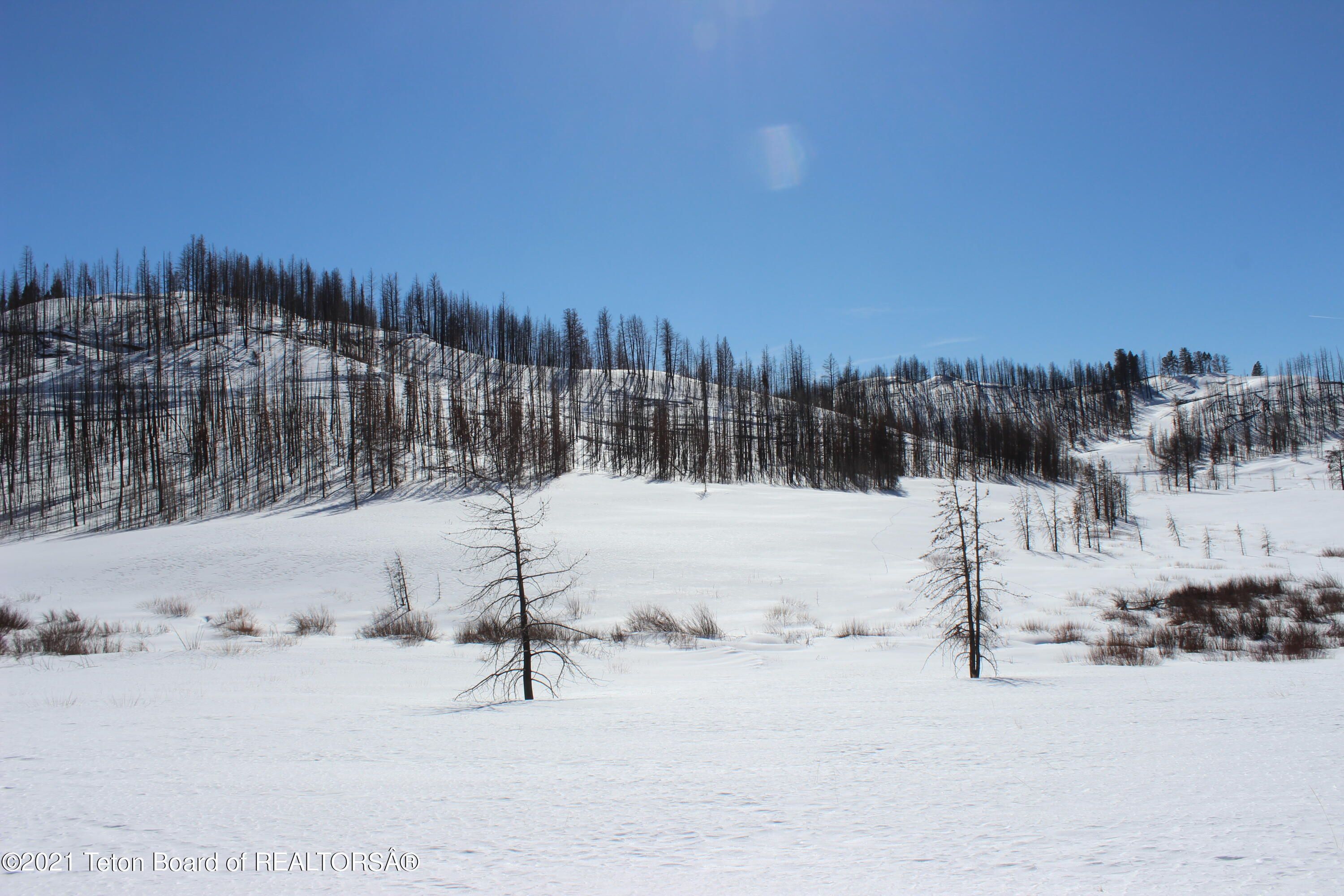 Bondurant, Sublette County, WY Undeveloped Land for sale Property ID
