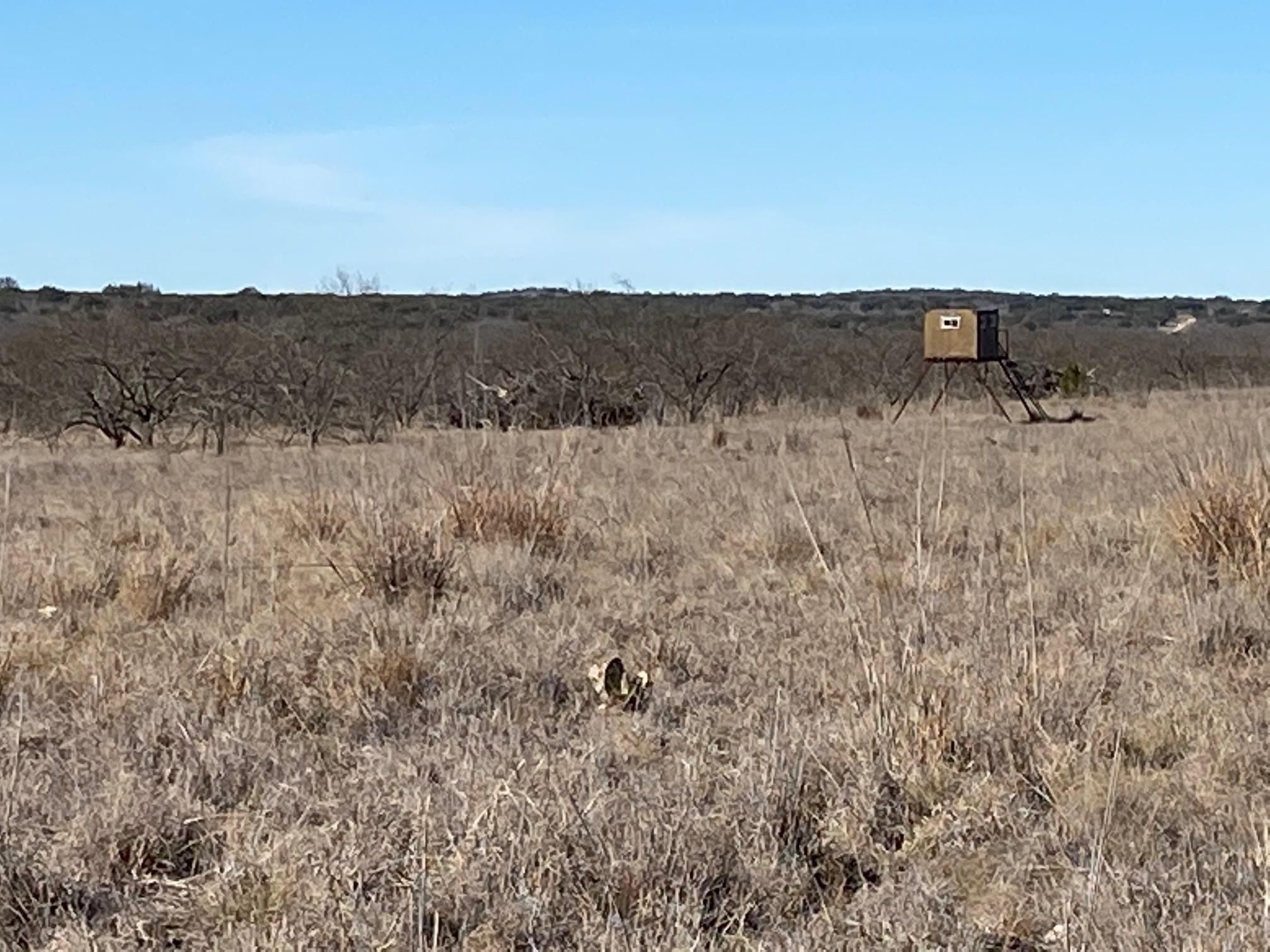 Menard, Menard County, TX Farms and Ranches, Recreational Property