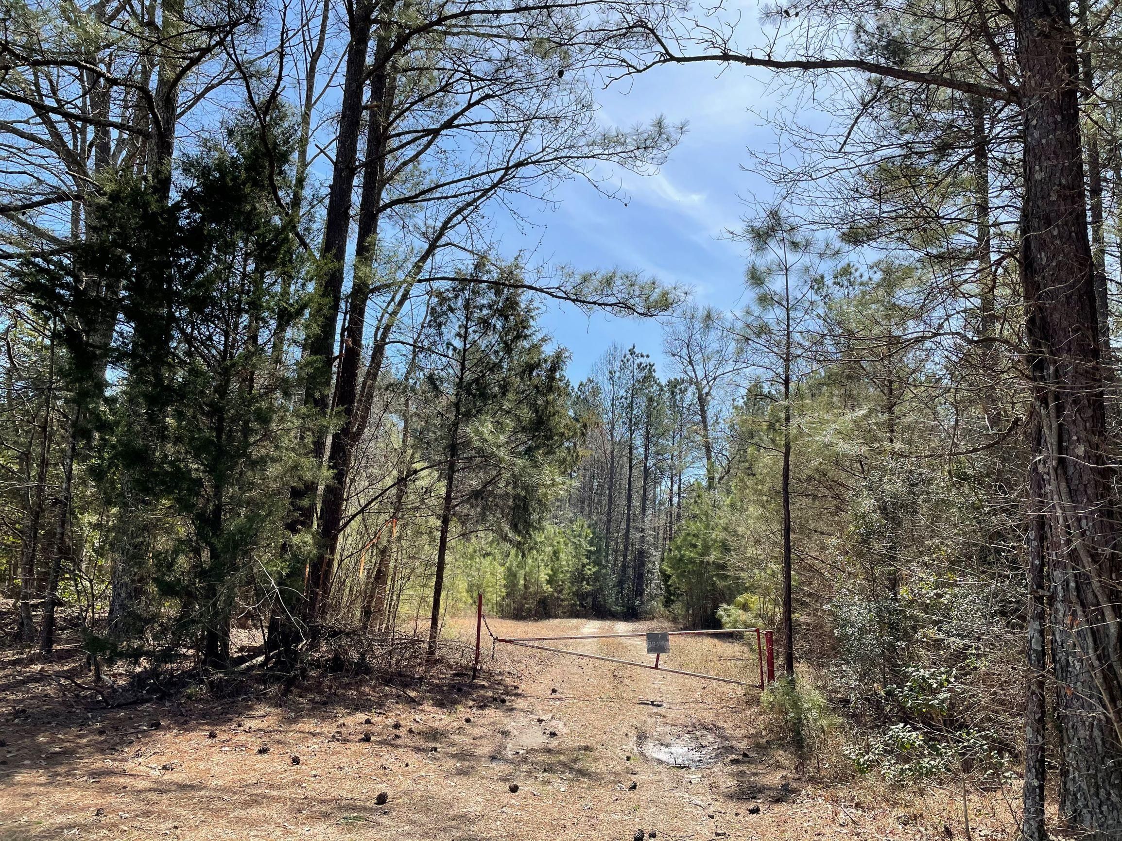 Yale, Sussex County, VA Timberland Property, Undeveloped Land, Hunting