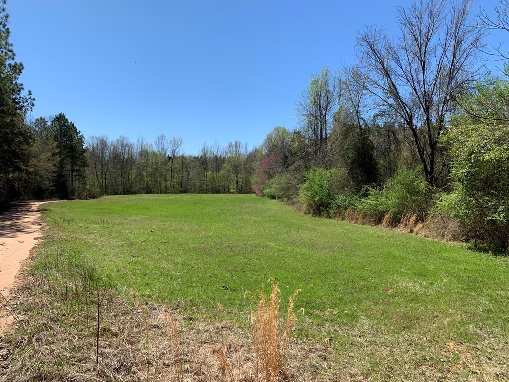 Bruce, Calhoun County, MS Undeveloped Land for sale Property ID