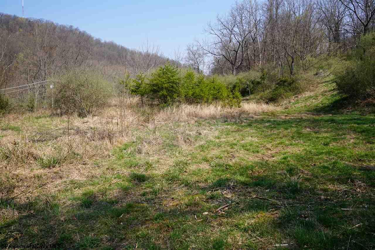 Jane Lew, Lewis County, WV Undeveloped Land for sale Property ID