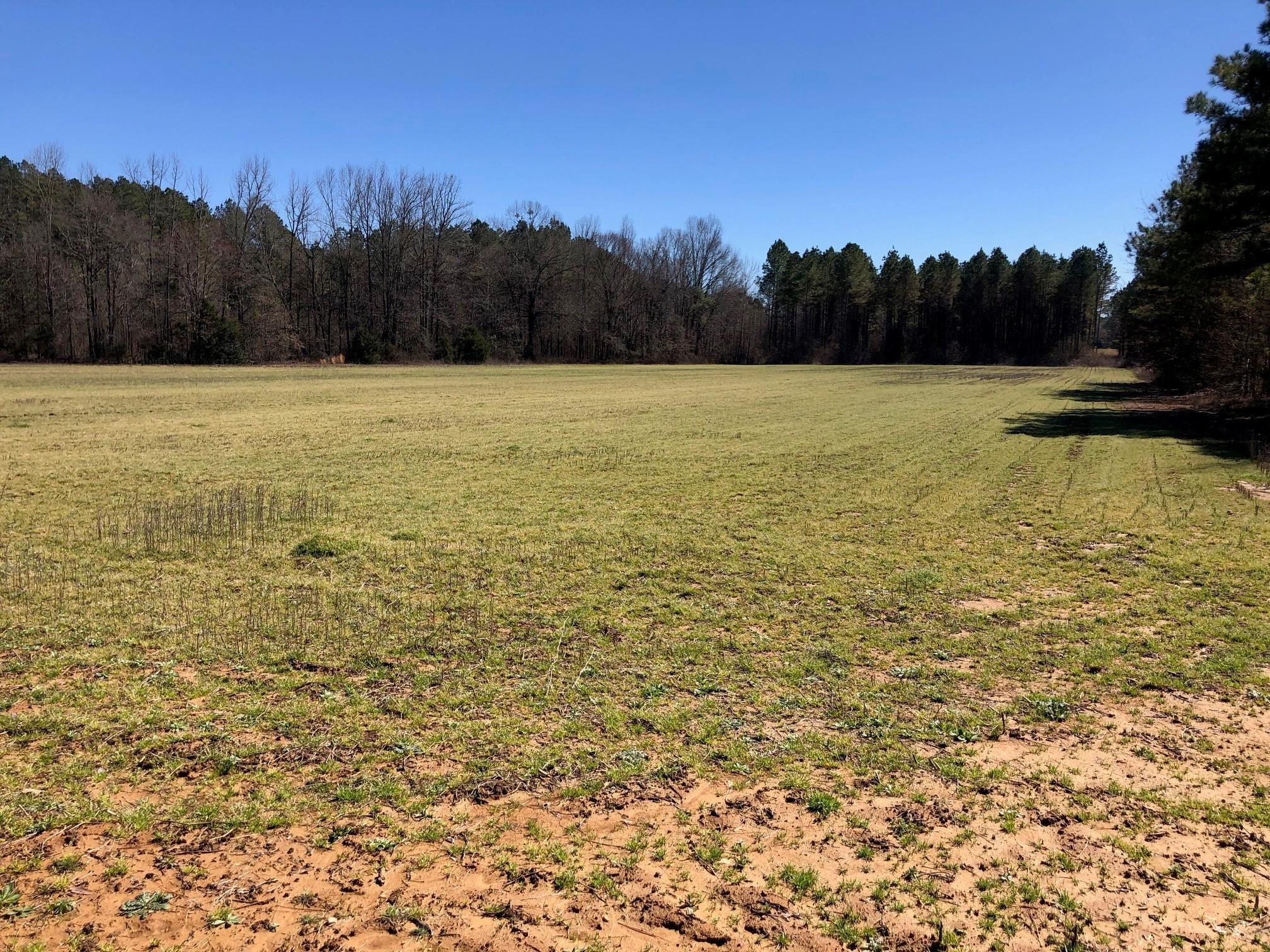Big Creek, Calhoun County, MS Farms and Ranches, Homesites for sale