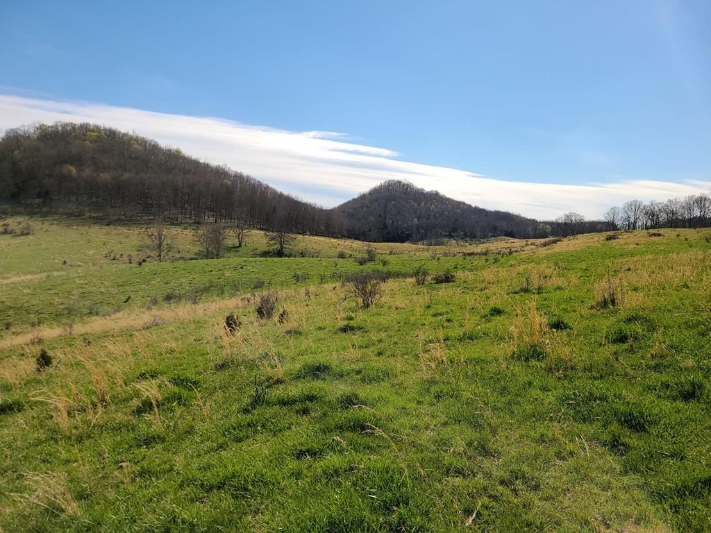 Swords Creek, Russell County, VA Farms and Ranches for sale Property ID 409987323 LandWatch