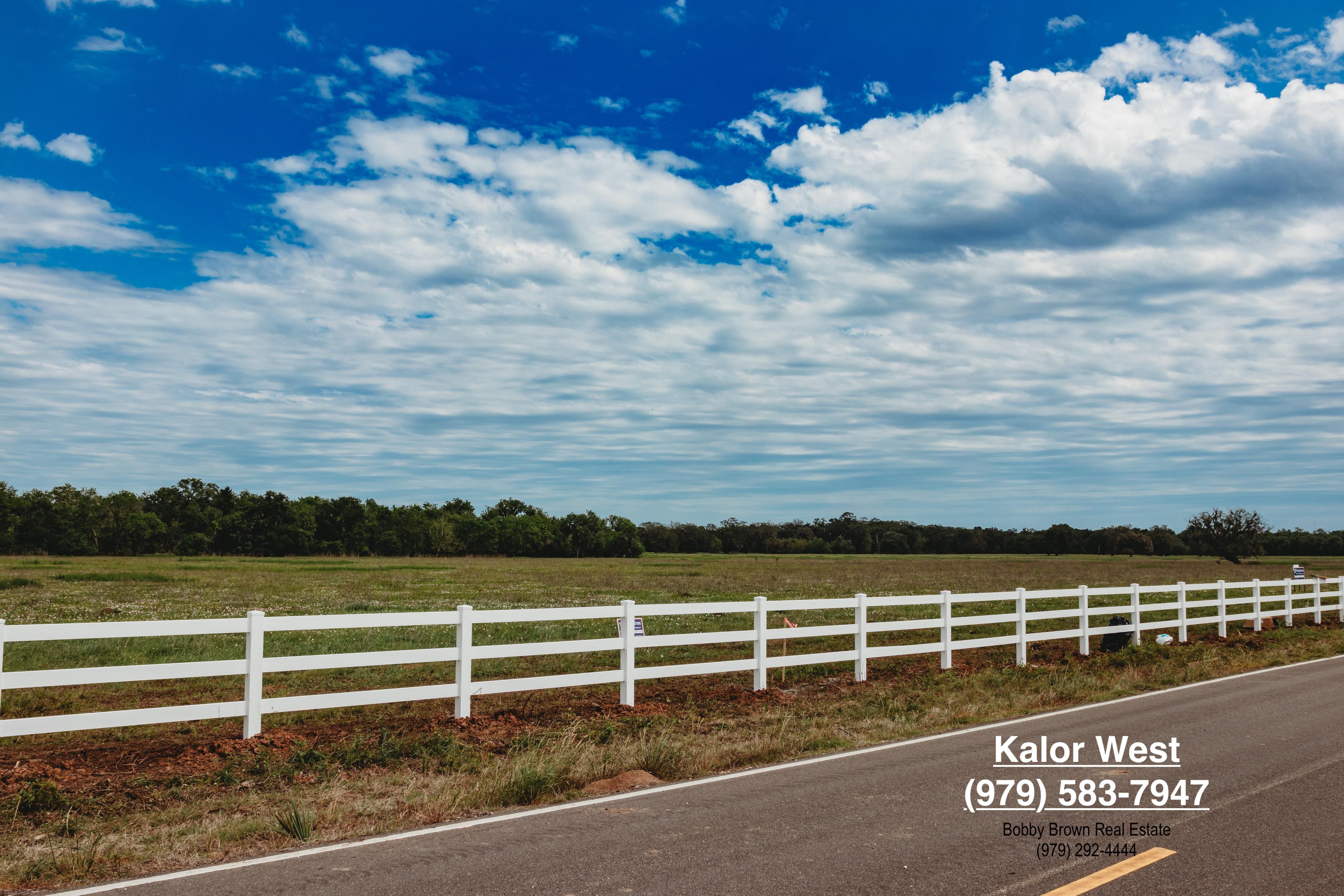 Angleton, Brazoria County, TX Farms and Ranches, Undeveloped Land