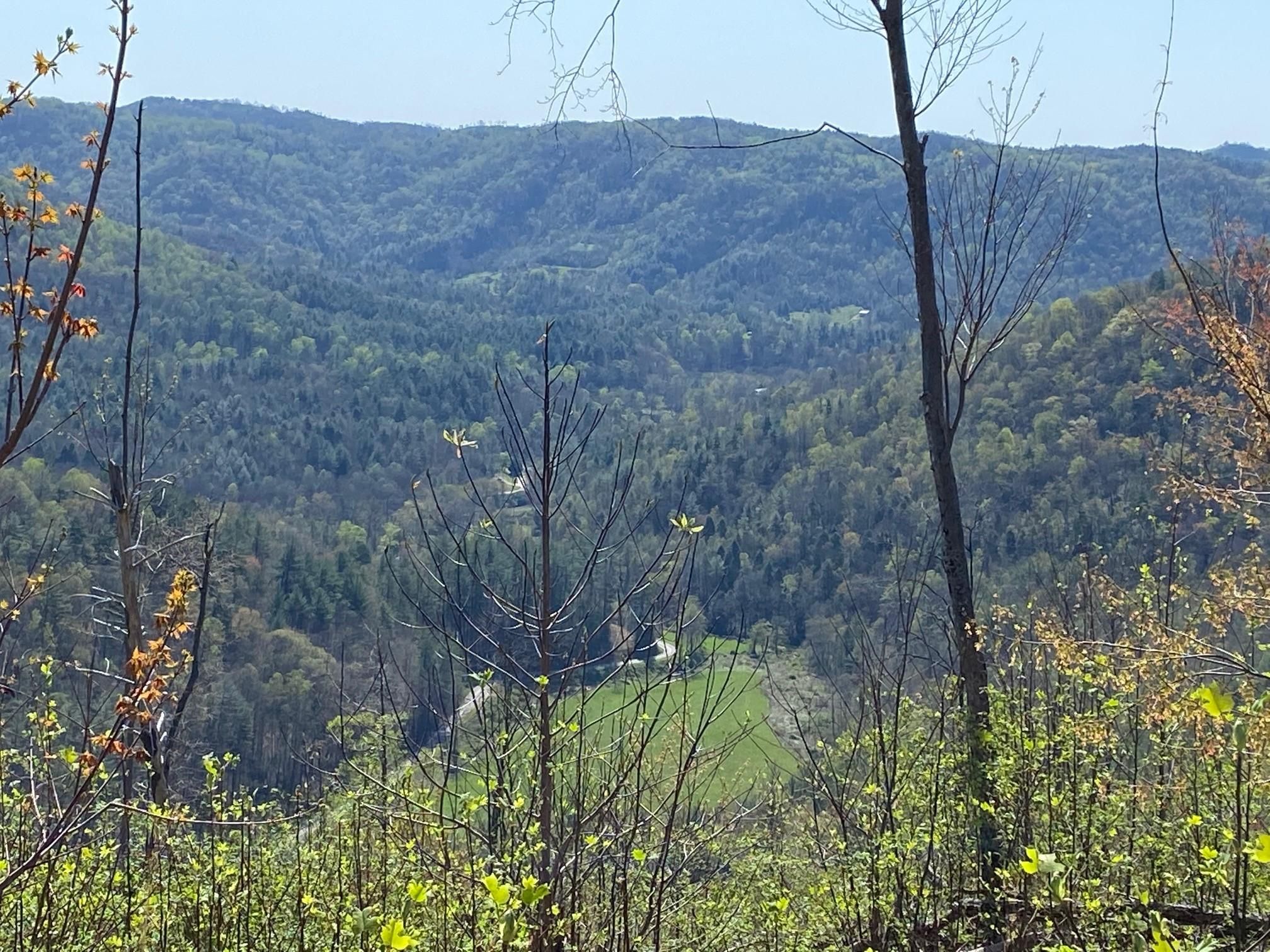 Millers Creek, Wilkes County, NC Recreational Property, Timberland