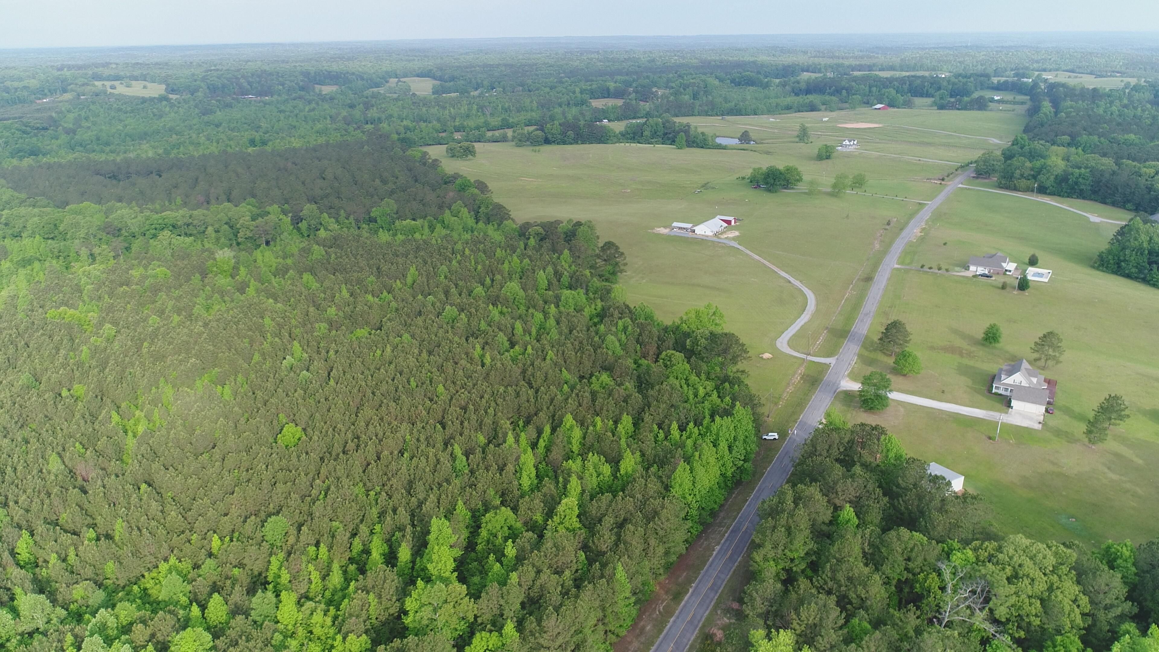 Eclectic, Elmore County, AL Recreational Property, Undeveloped Land for sale Property ID