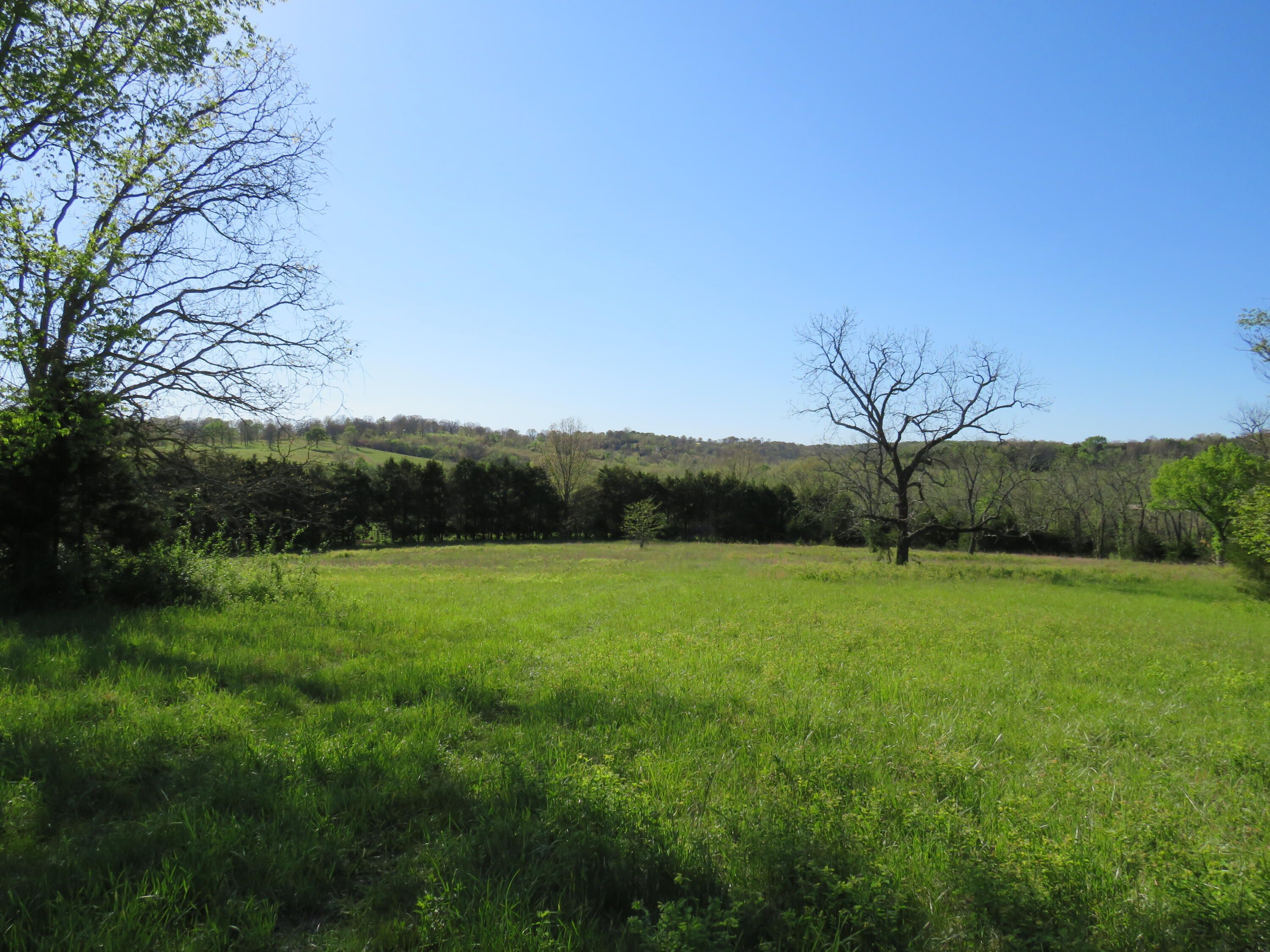 Douglas County, MO Undeveloped Land for sale Property ID