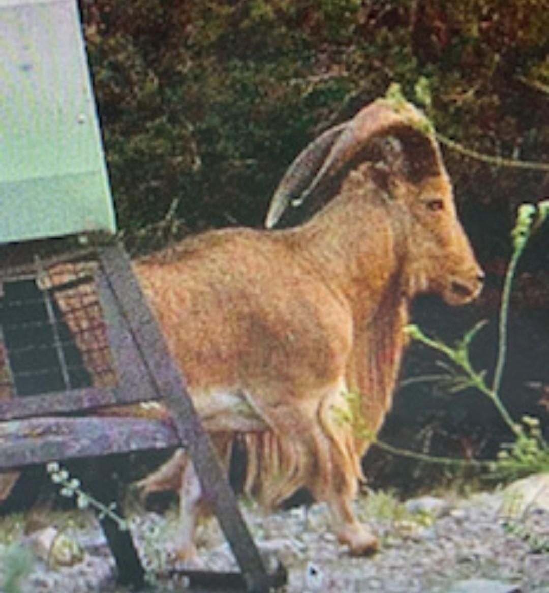 Rocksprings, Kinney County, TX Farms and Ranches, Recreational Property