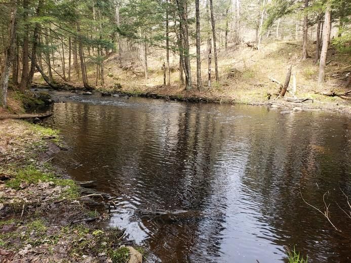 Diana, Lewis County, NY Recreational Property, Hunting