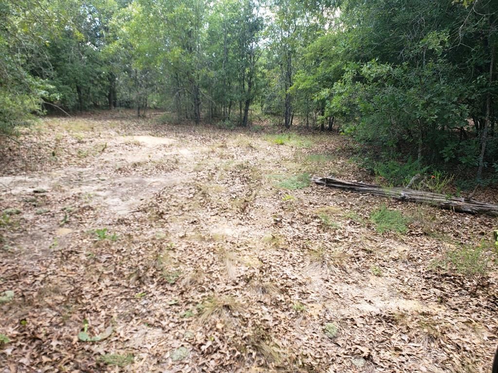 Lyons, Toombs County, GA Undeveloped Land, Homesites for sale Property