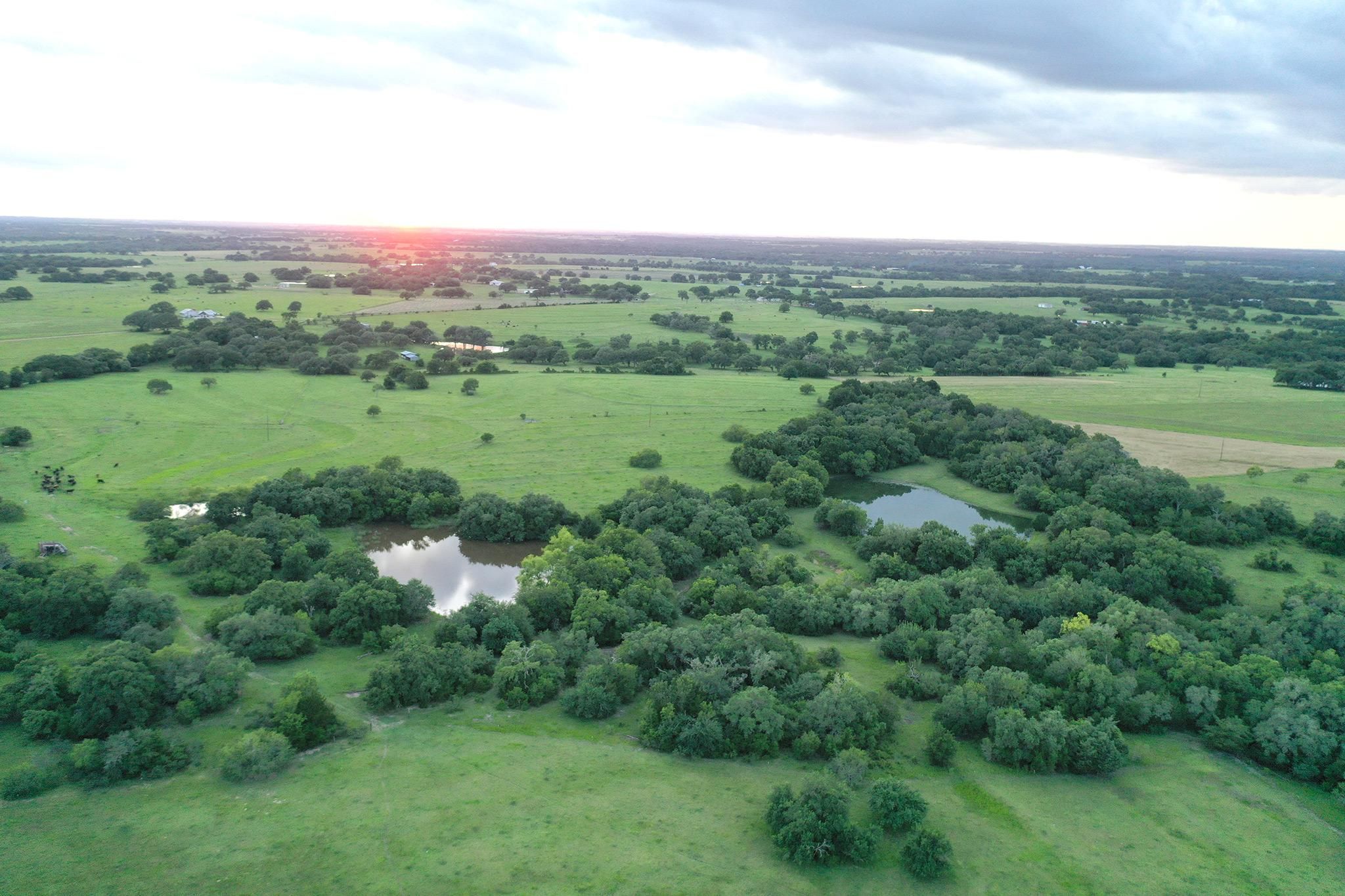 Hallettsville, Lavaca County, TX Farms and Ranches, Hunting Property