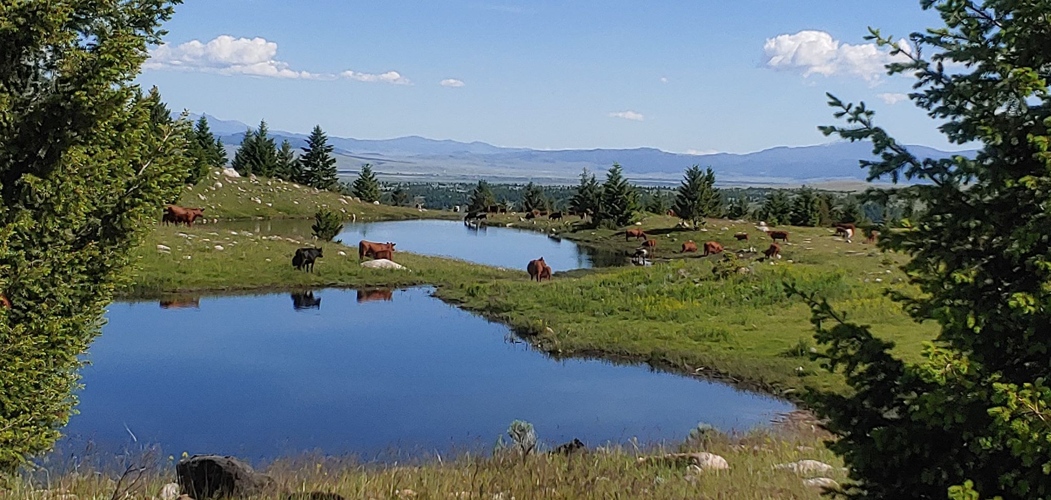 Deer Lodge, Powell County, MT Farms and Ranches, House for sale