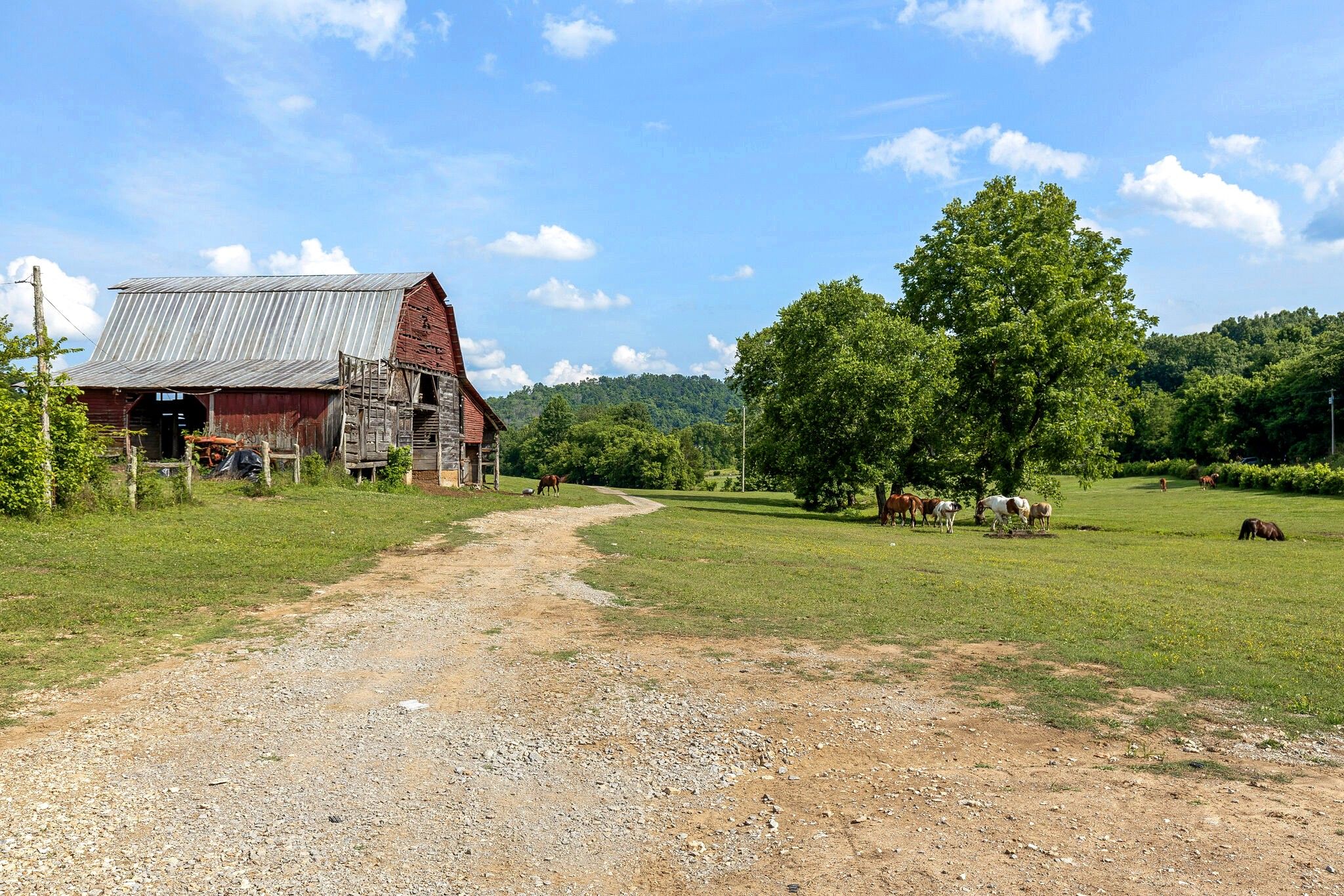 Belfast, Marshall County, TN House for sale Property ID 410799244 LandWatch