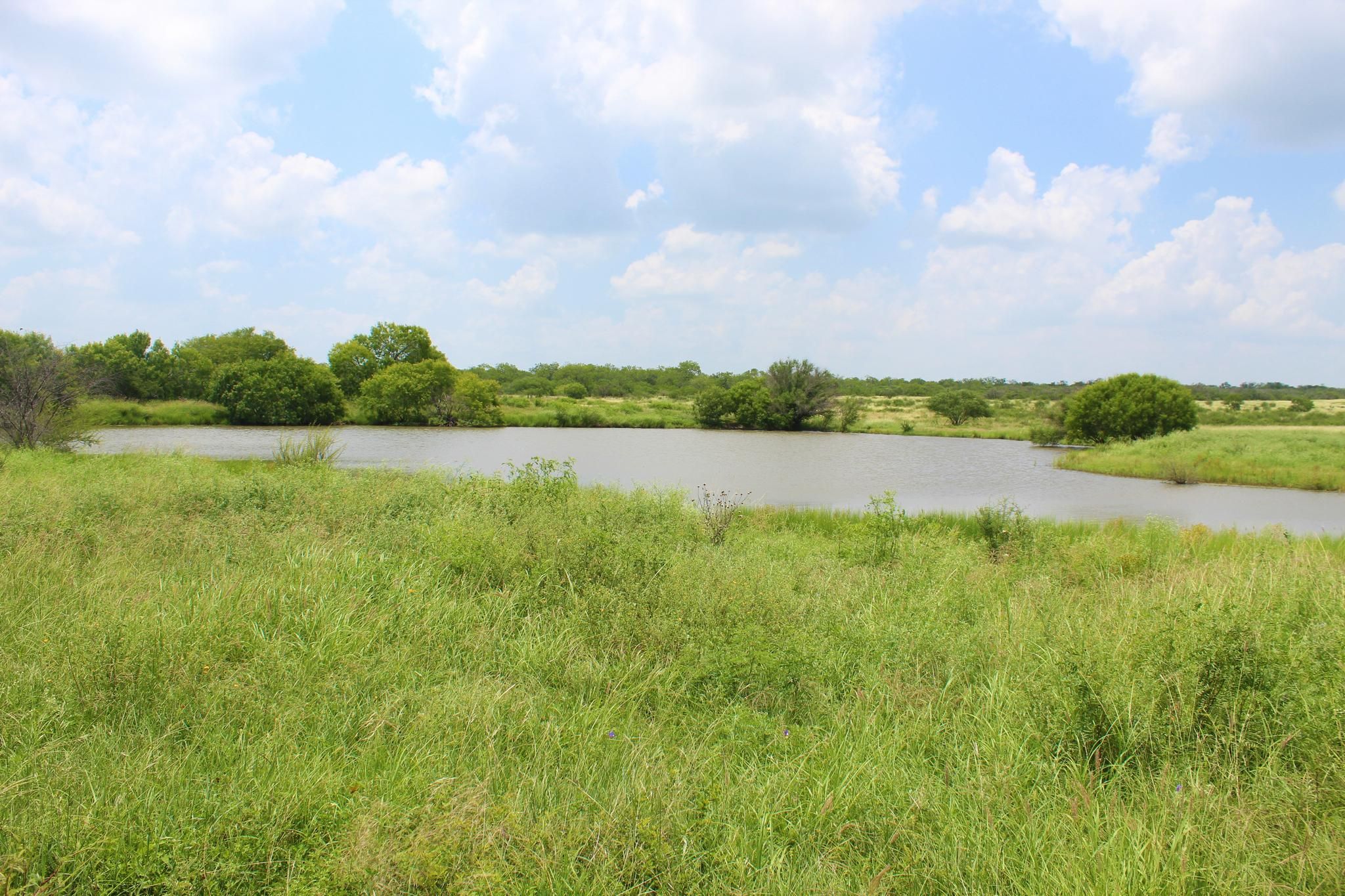 Beeville, Bee County, TX Farms and Ranches, Recreational Property