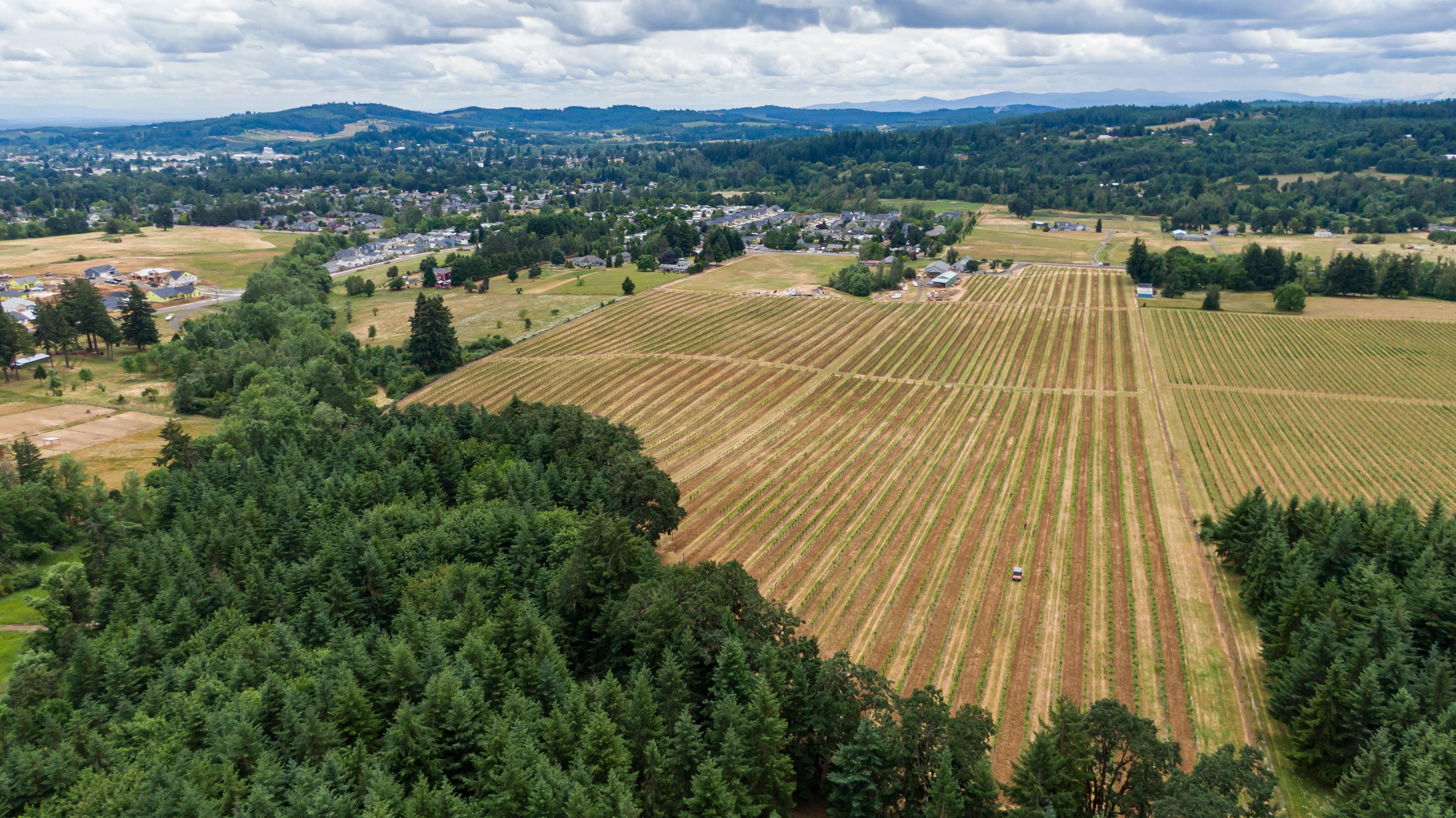 Dallas, Polk County, OR Farms and Ranches, Timberland Property for sale