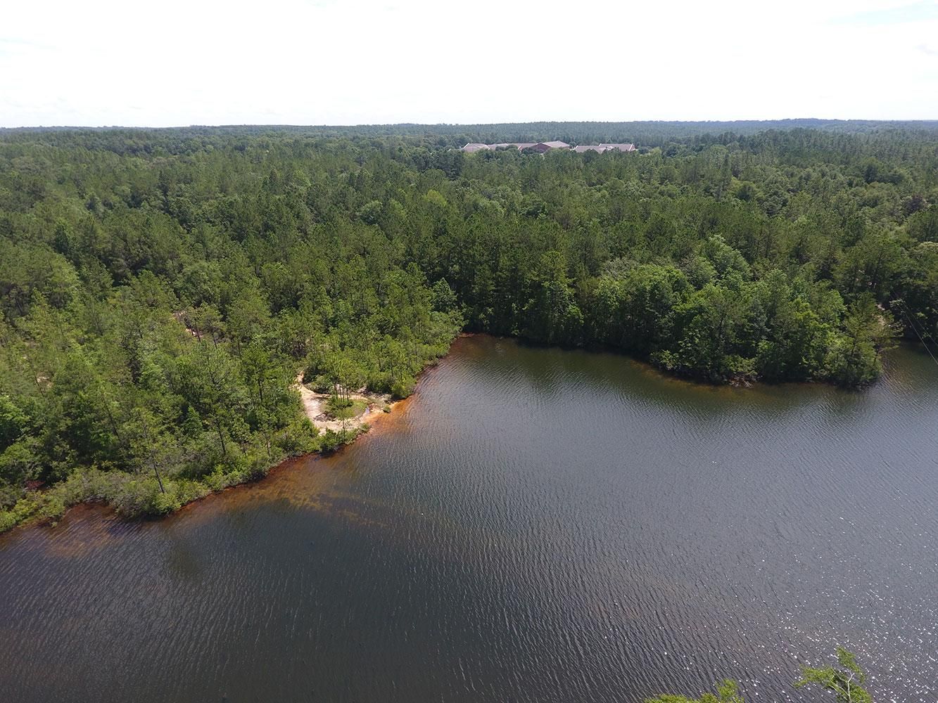 Citronelle, Mobile County, AL Recreational Property, Timberland