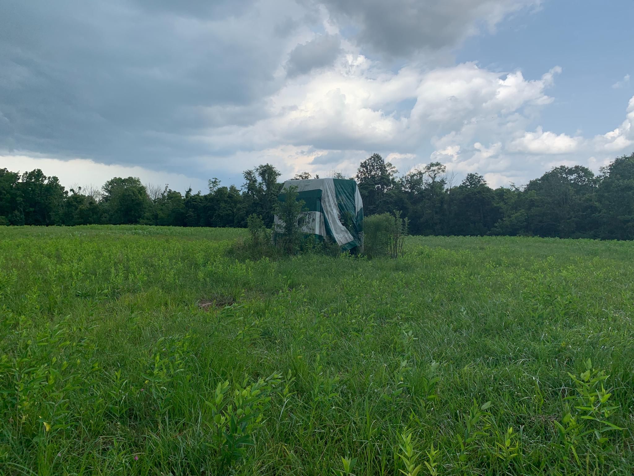 Tollesboro, Lewis County, KY Farms and Ranches for sale Property ID