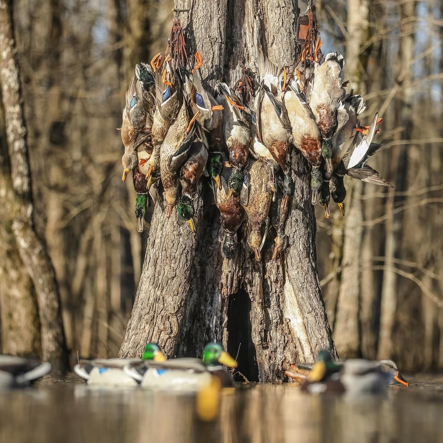 Mccrory, Woodruff County, AR Recreational Property, Riverfront Property