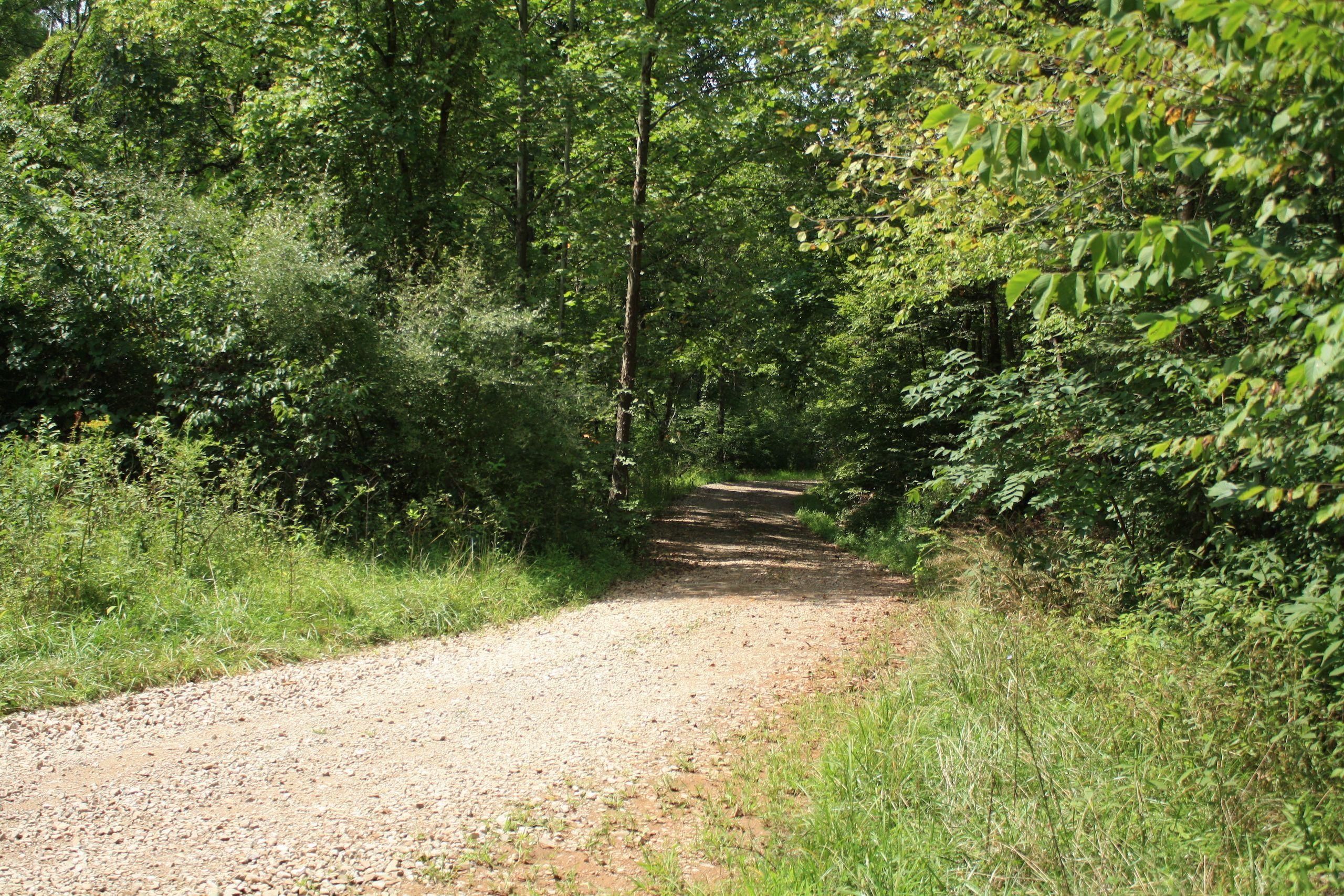 Waverly, Wood County, WV Recreational Property, Timberland Property