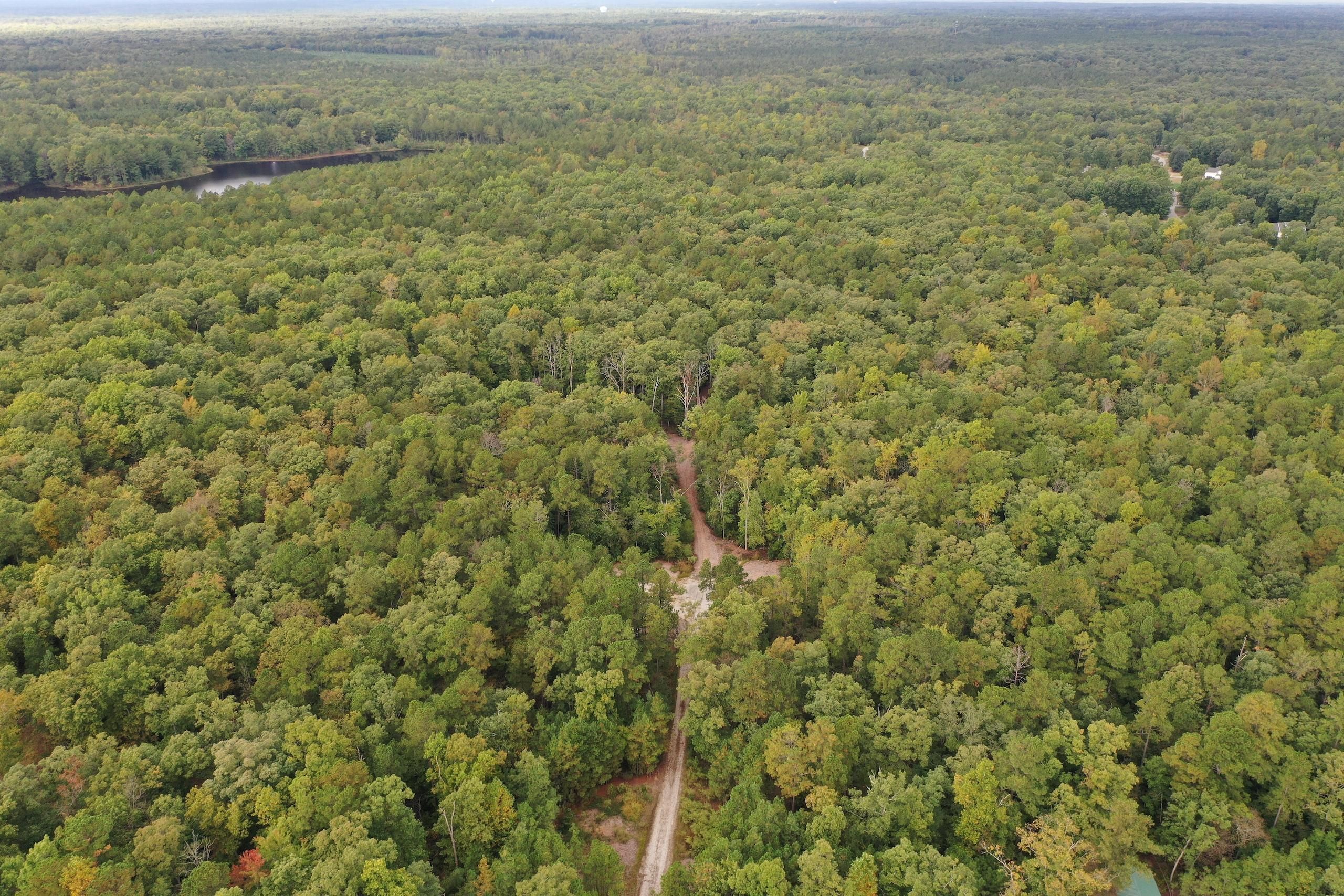 Matoaca, Chesterfield County, VA Recreational Property, Timberland