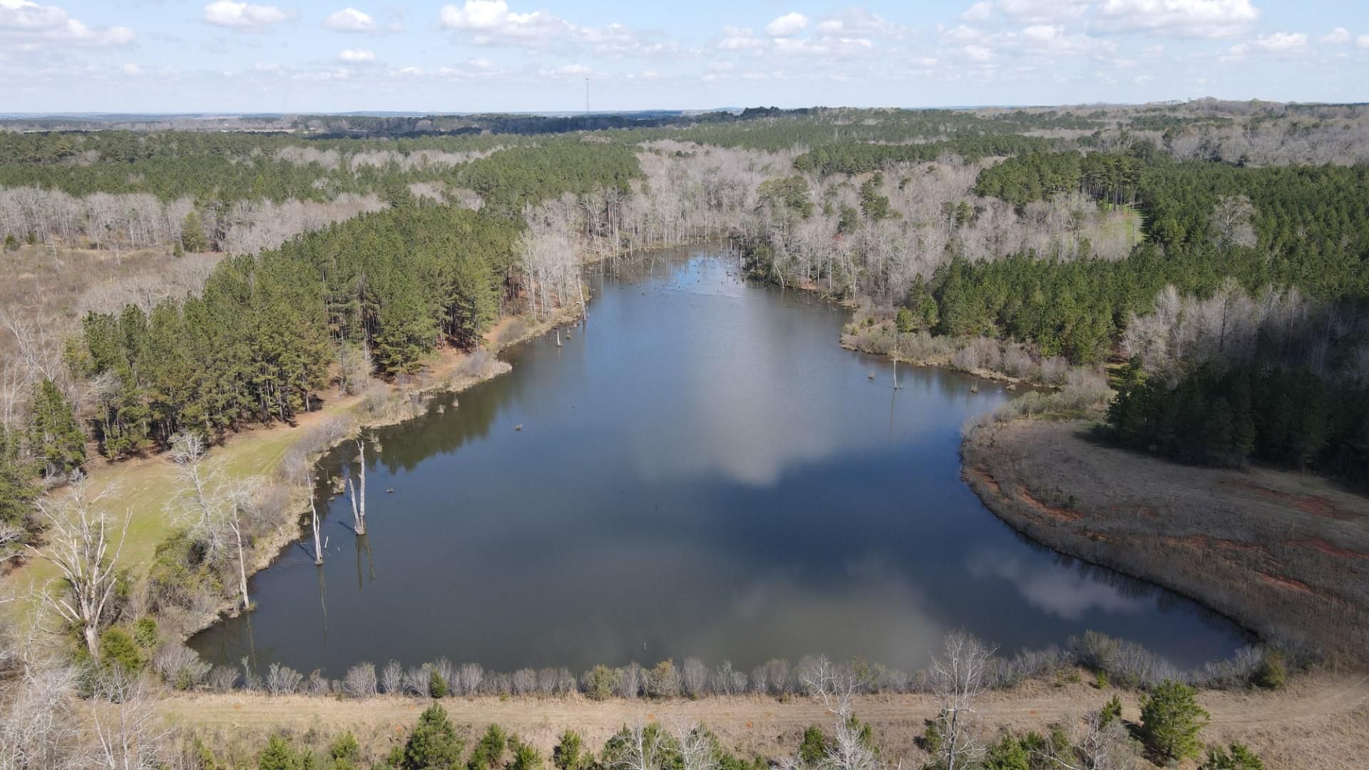 Louisville, Barbour County, AL Recreational Property, Timberland