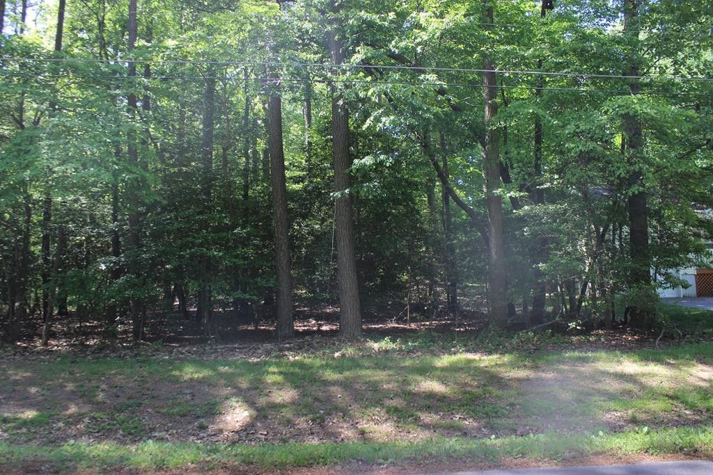 Greenbackville, County, VA Undeveloped Land, Homesites for