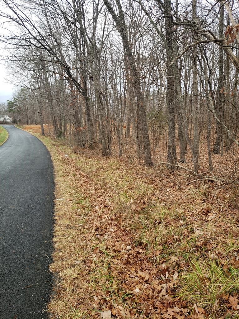 Concord, Campbell County, VA Undeveloped Land for sale Property ID