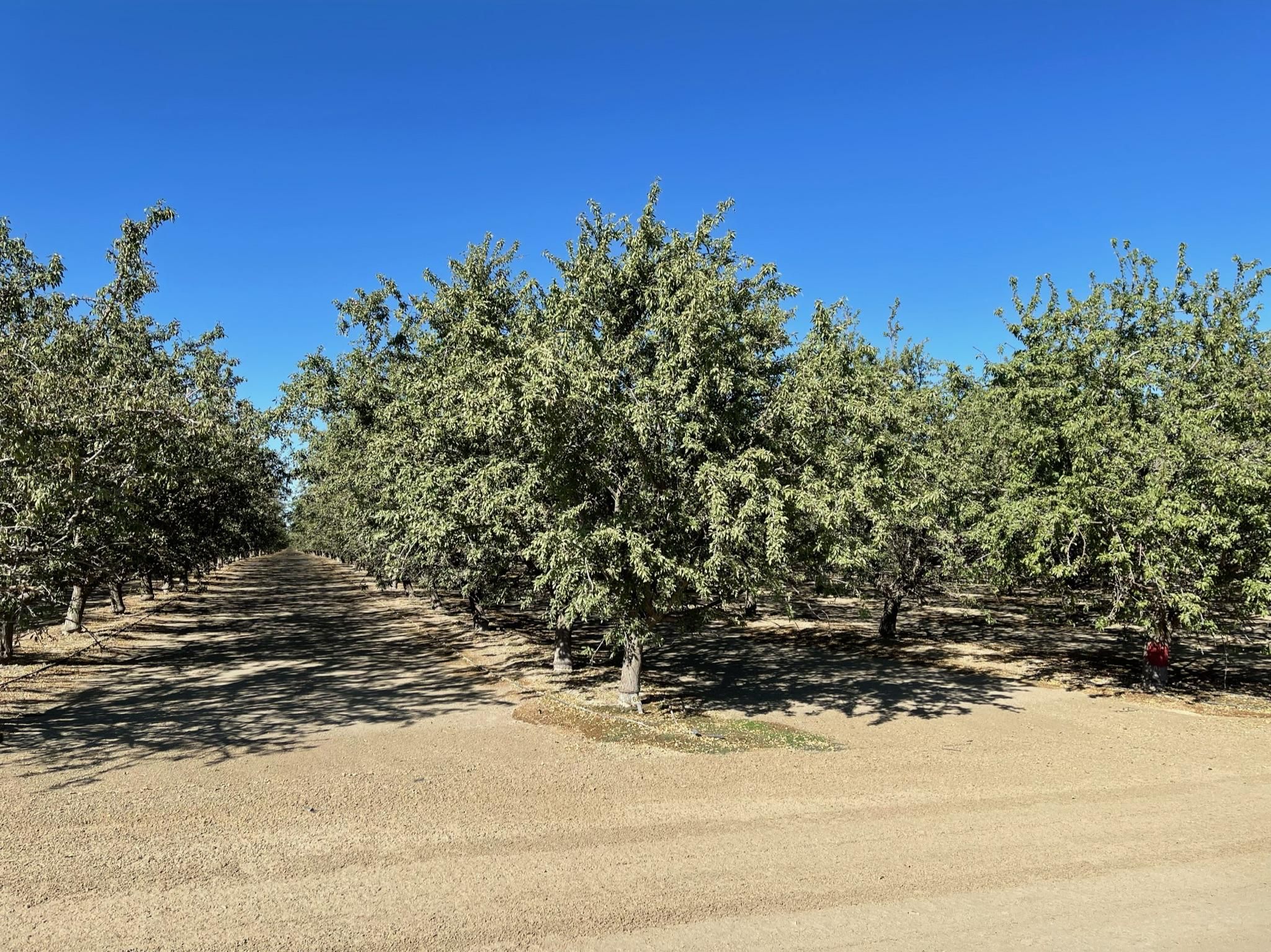 Mendota, Fresno County, CA Farms and Ranches for sale Property ID