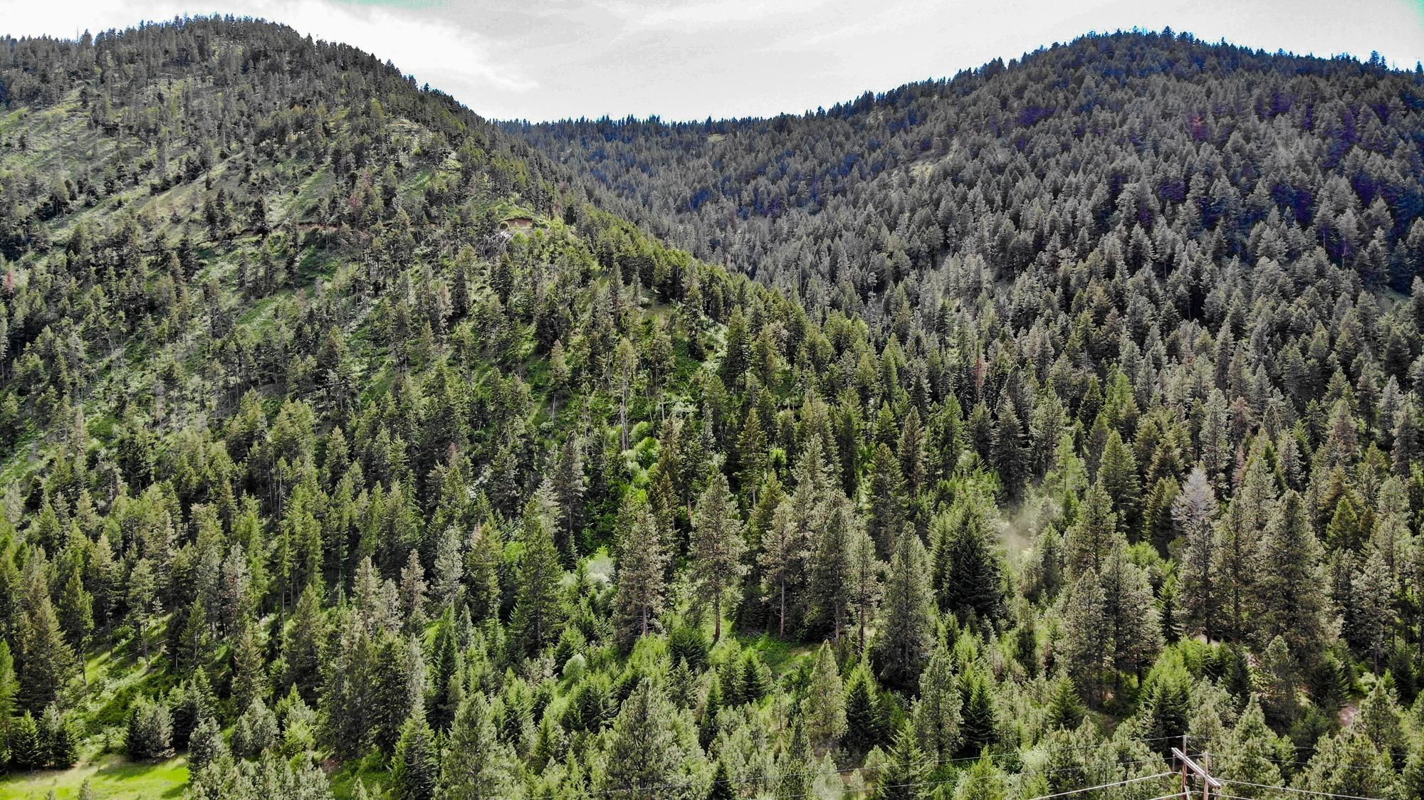 Lostine, Wallowa County, OR Recreational Property, Timberland Property