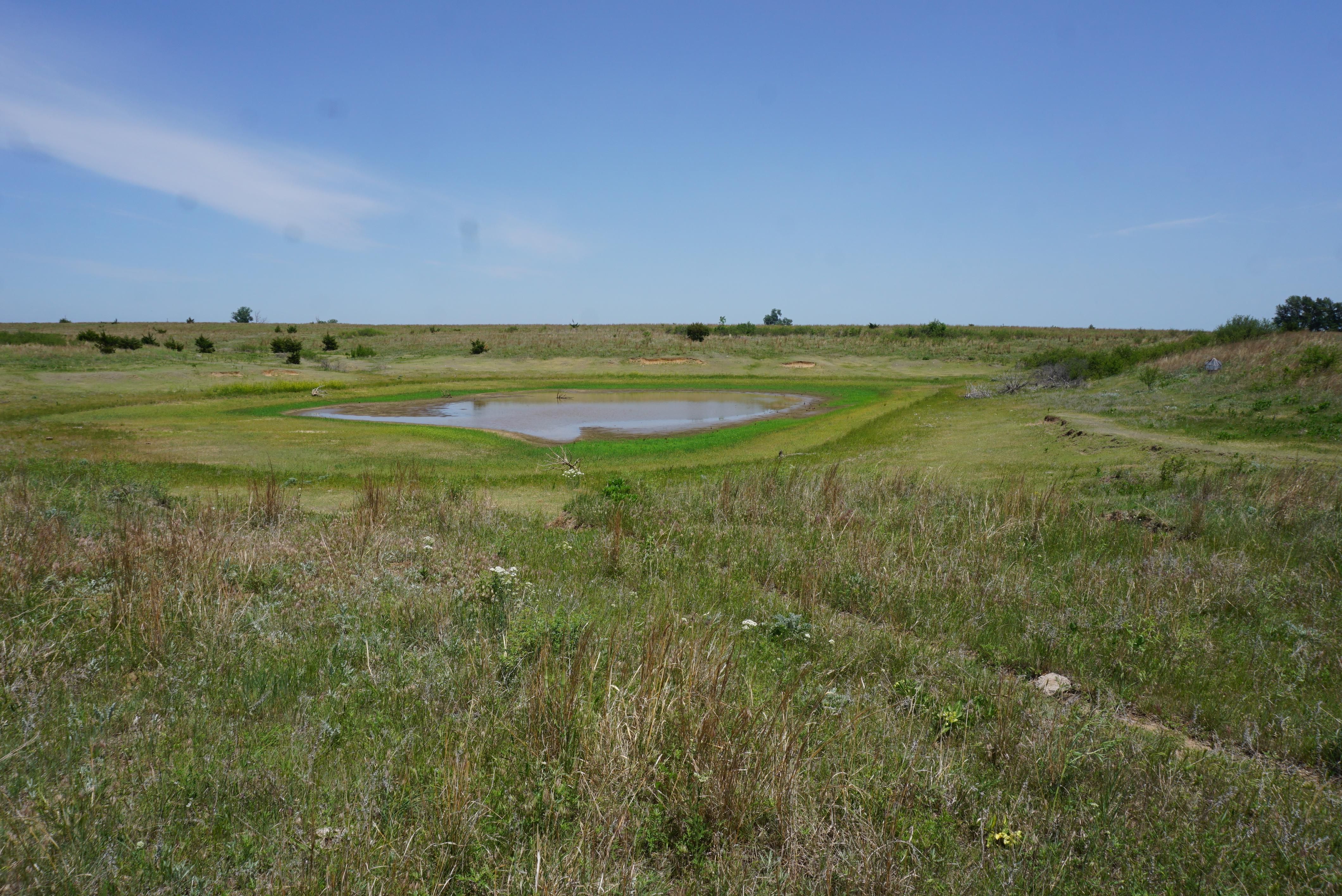 Penalosa, Kingman County, KS Farms and Ranches for sale Property ID