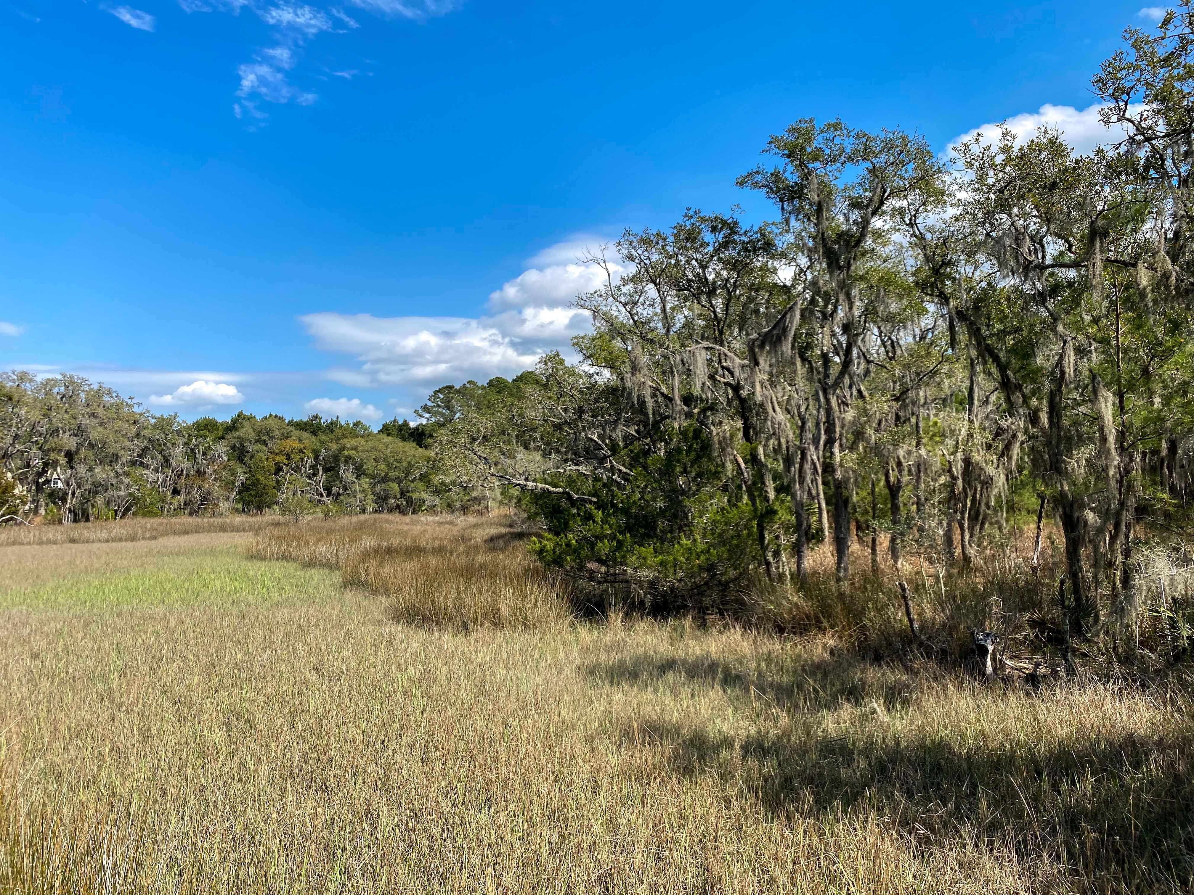 Wadmalaw Island, Charleston County, SC Recreational Property, Horse Property, Homesites for sale