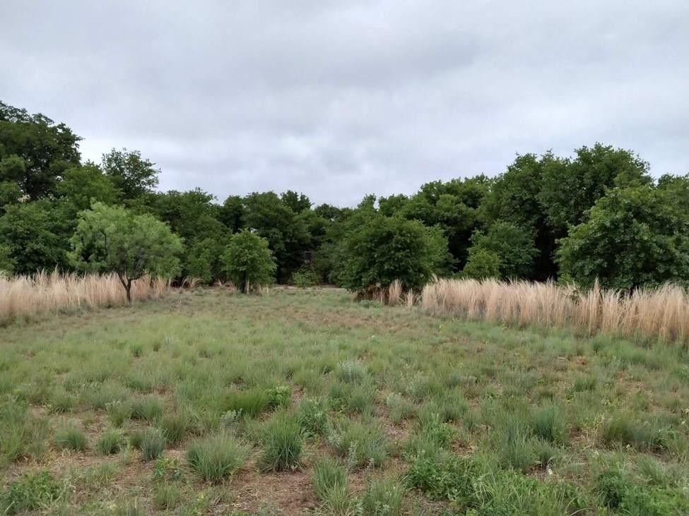 Hawley, Jones County, TX Undeveloped Land for sale Property ID