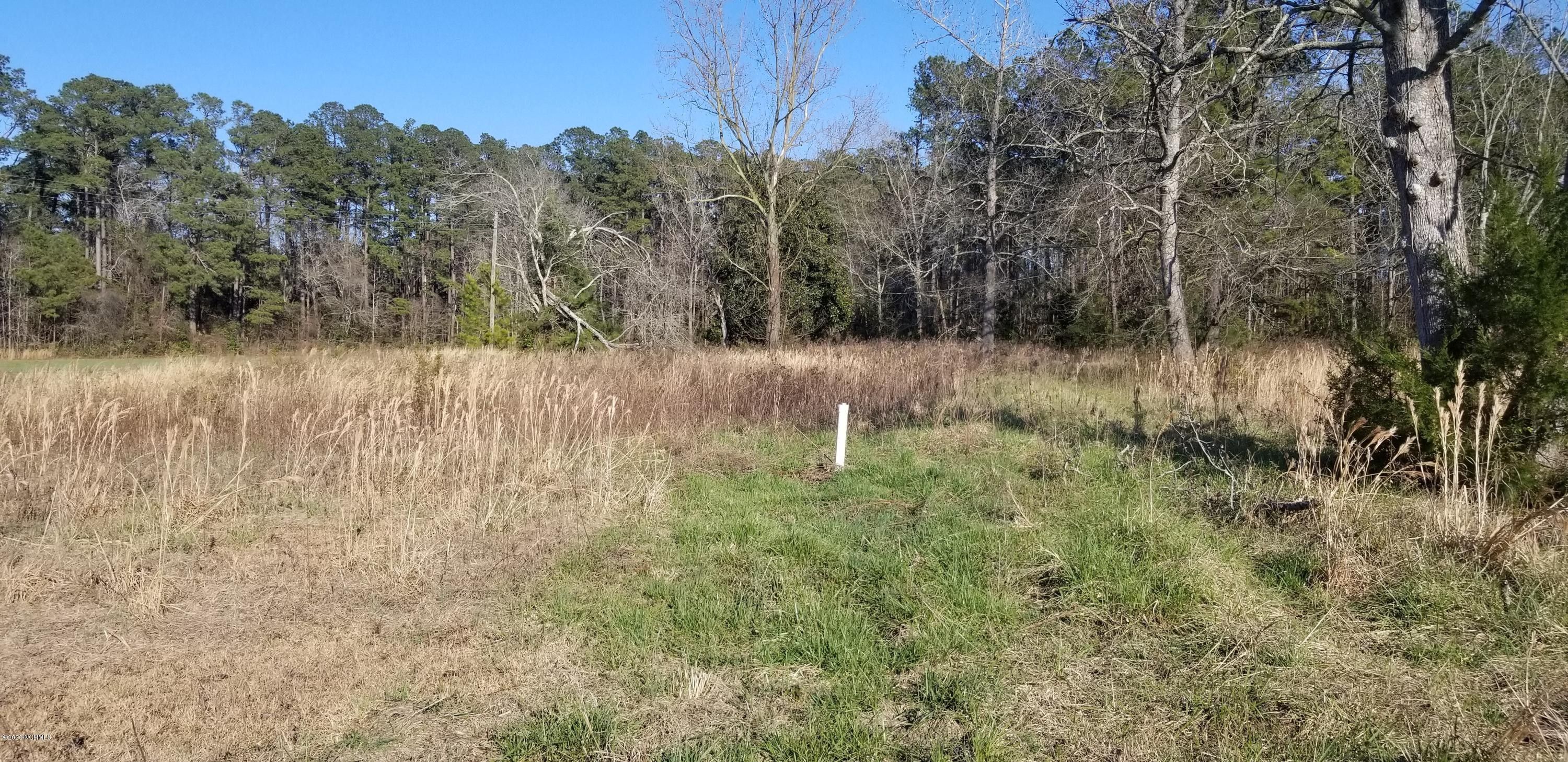 Tabor City, Columbus County, NC Undeveloped Land for sale Property ID