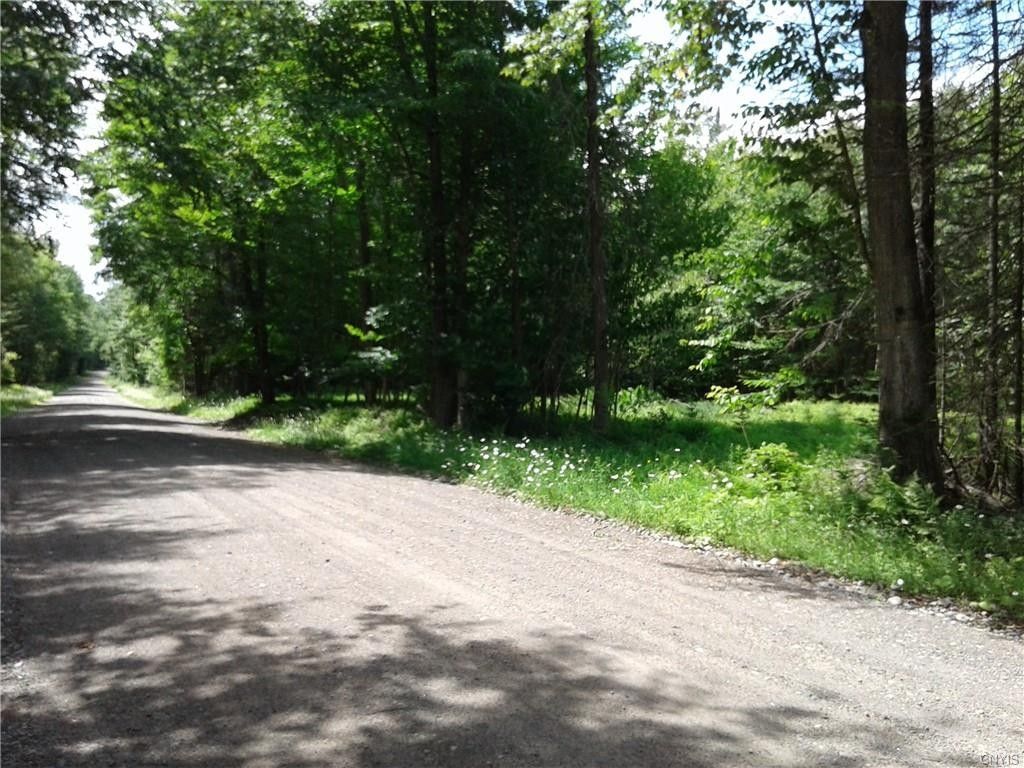 Ohio, Herkimer County, NY Undeveloped Land, Lakefront Property