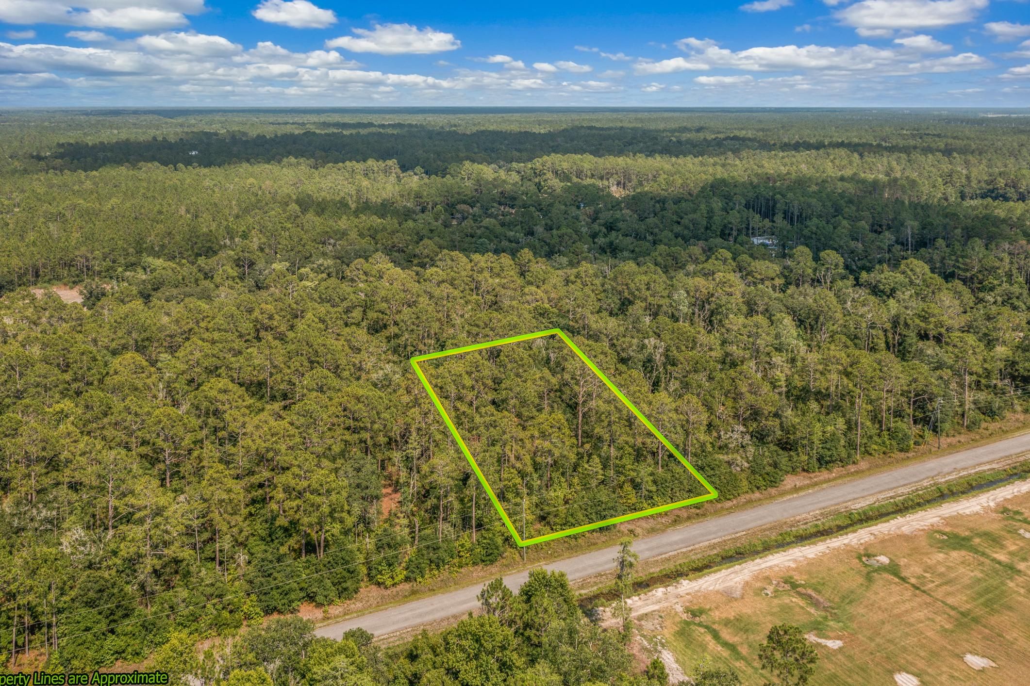 Hastings, Saint Johns County, FL Recreational Property, Undeveloped