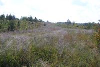 Land in Hardin County, Tennessee