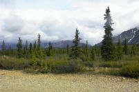 Land in Denali Borough, Alaska