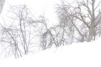 Undeveloped Land in Jefferson County, New York